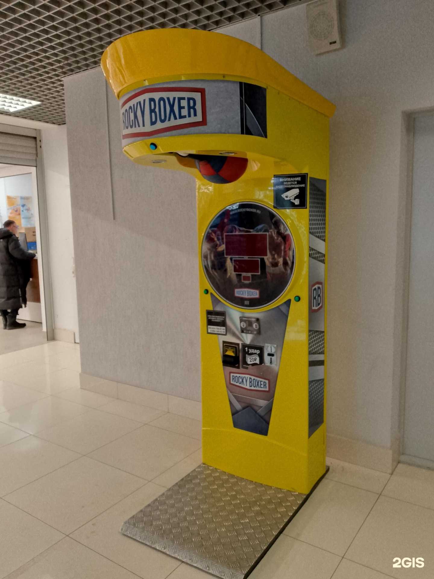 Отзывы на компанию Rocky boxer в Воронеже c фото