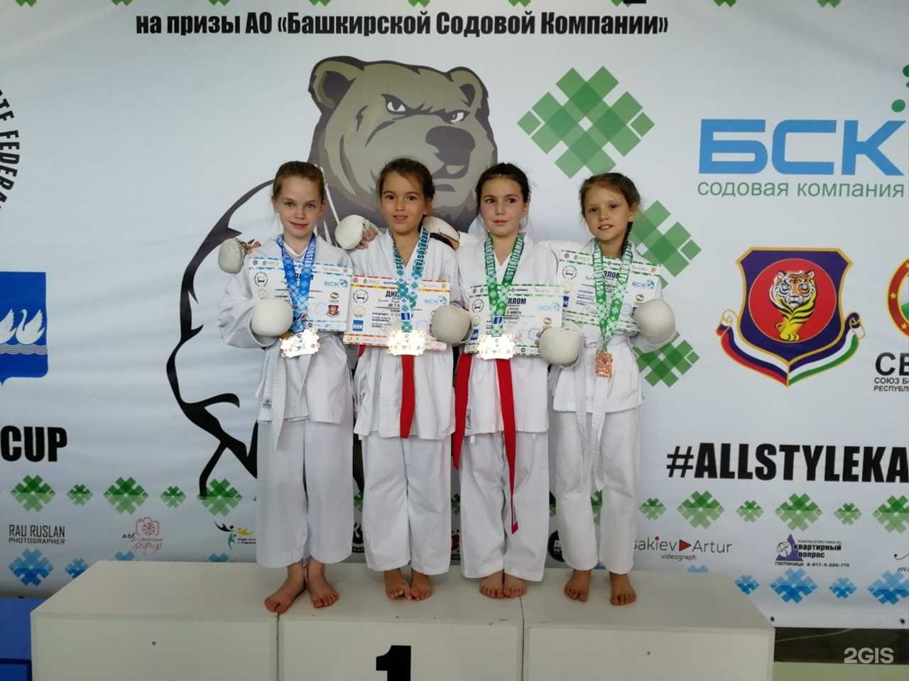 Отзывы на компанию Поволжская академия боевых искусств в г. Тольятти c фото