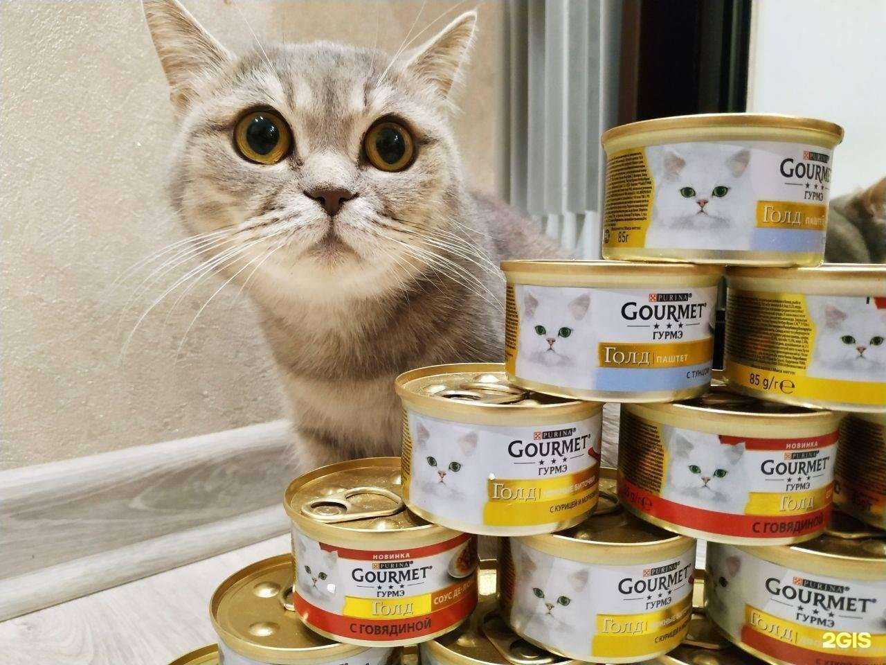 Отзывы на компанию Бишенели в Перми c фото