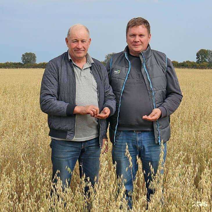 Отзывы на компанию Август в г. Челябинск c фото