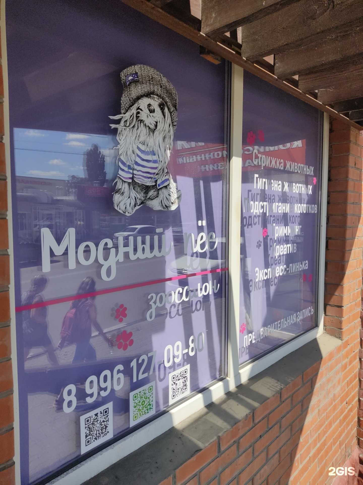 Отзывы на компанию Модный пес в Шахтах c фото