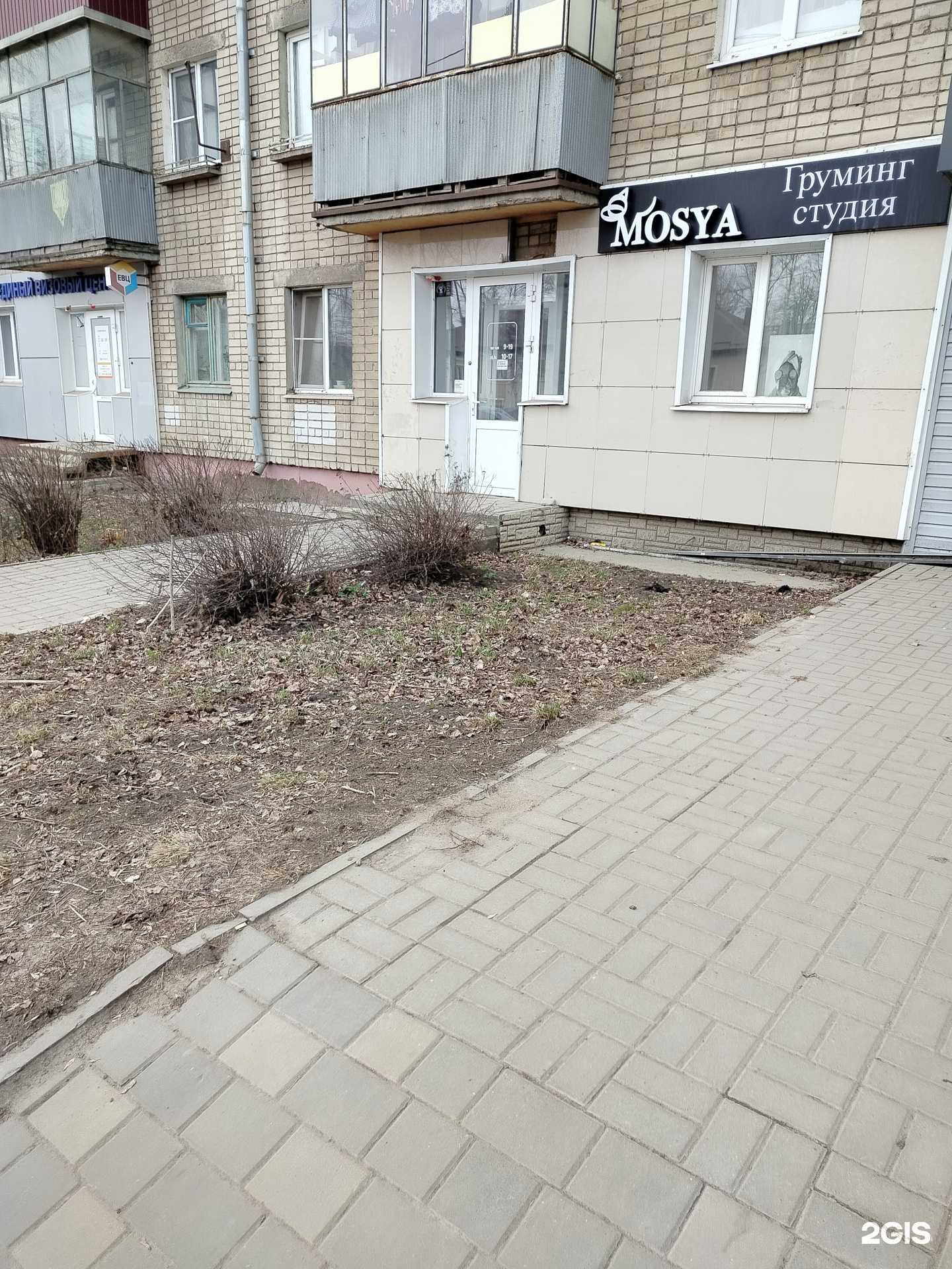 Отзывы на компанию Mosya  в Липецке c фото