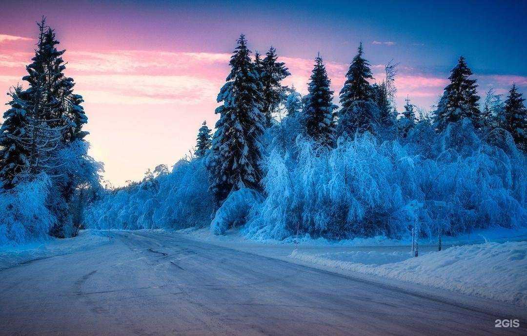 Отзывы на компанию Ханты-Мансийскдорстрой в Сургуте c фото