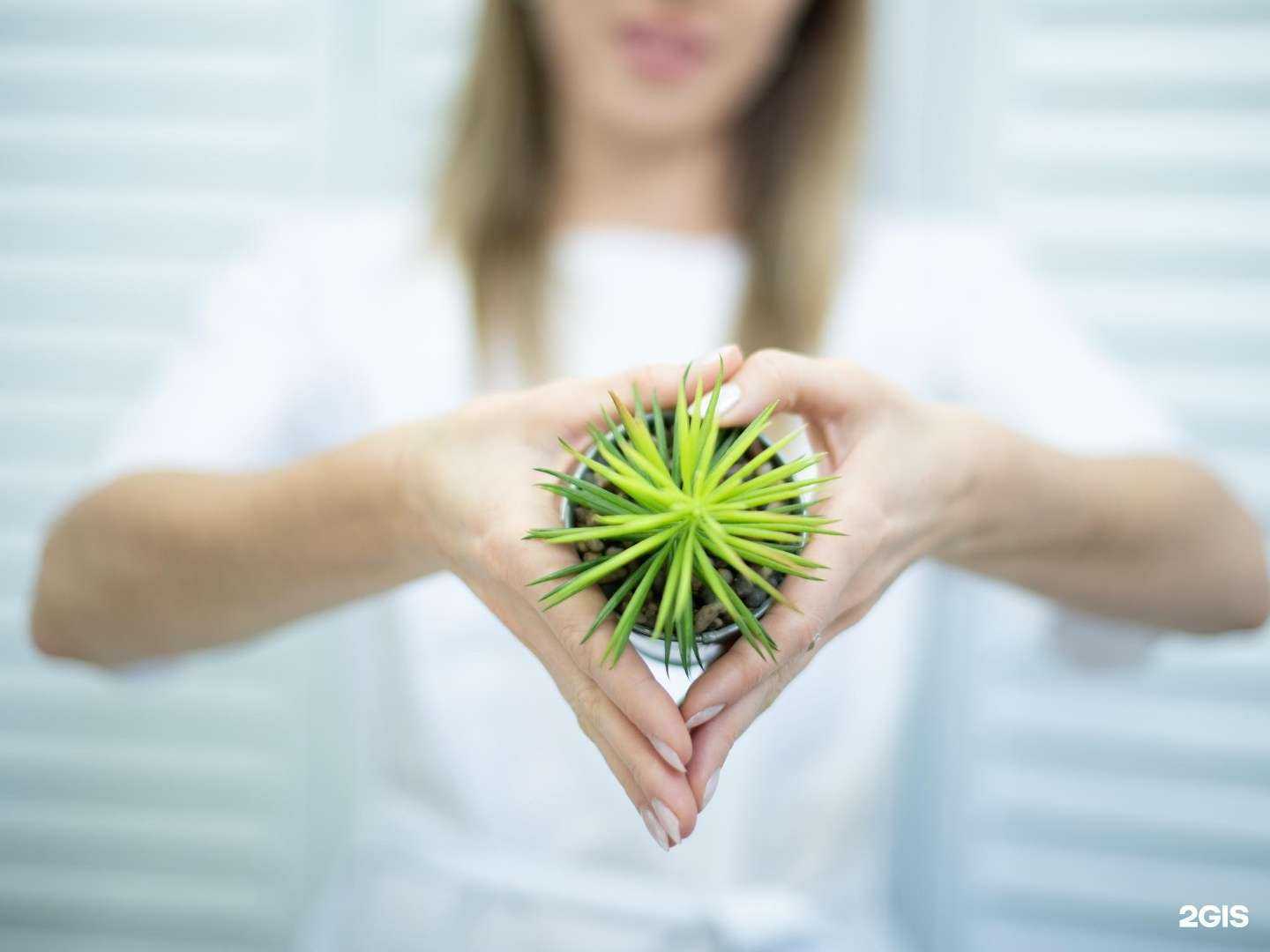 Отзывы на компанию Дамская эстет комната в Липецке c фото