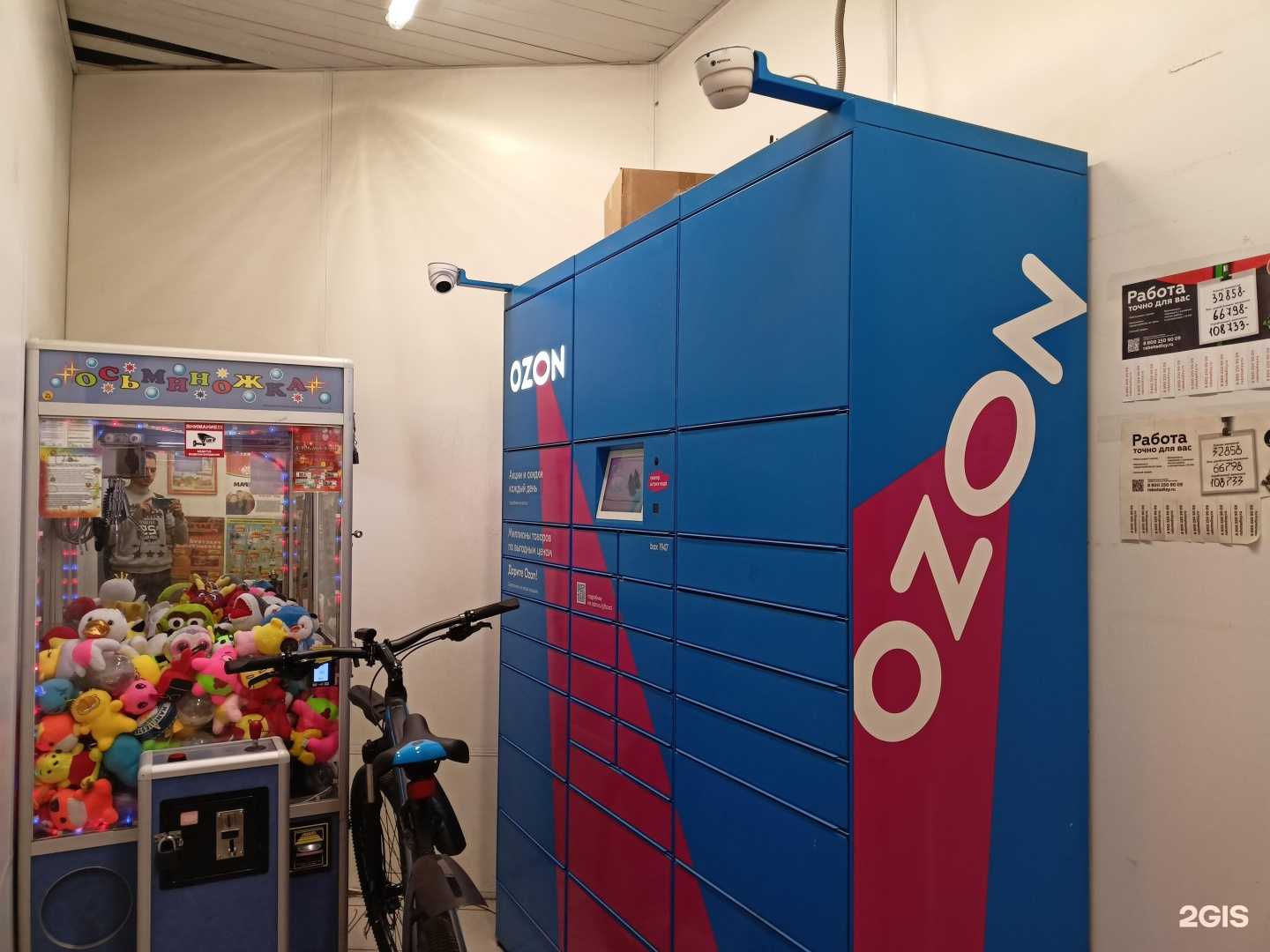 Отзывы на компанию Лотос в г. Пушкино c фото