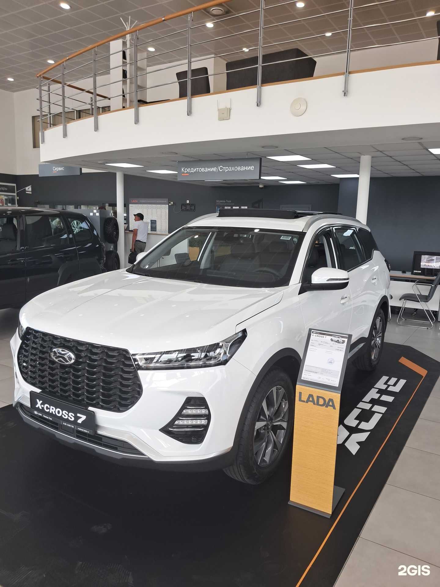 Отзывы на компанию Медведь Иксайт в Красноярске c фото