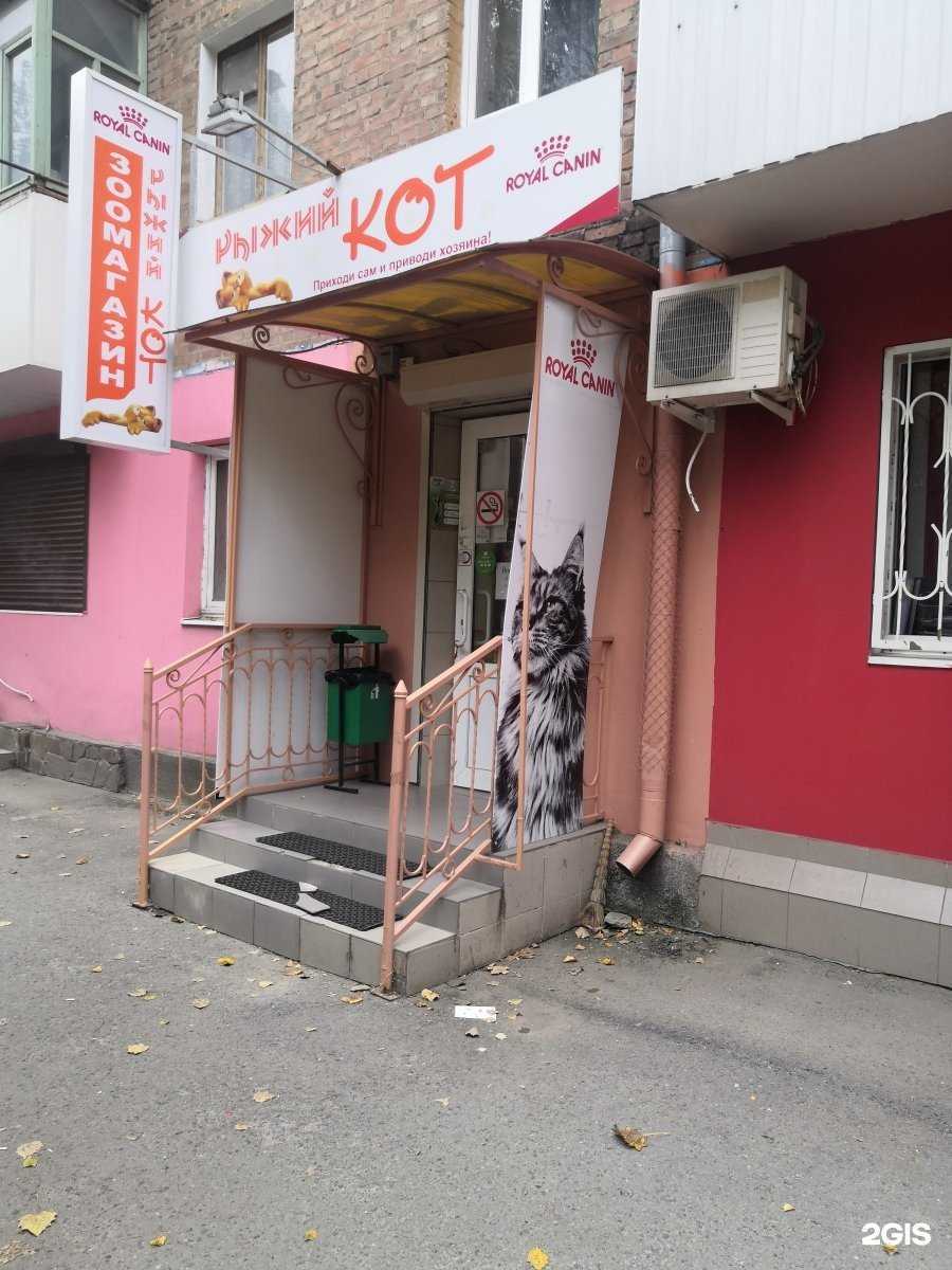 Отзывы на компанию Рыжий кот в г. Ростов-на-Дону c фото