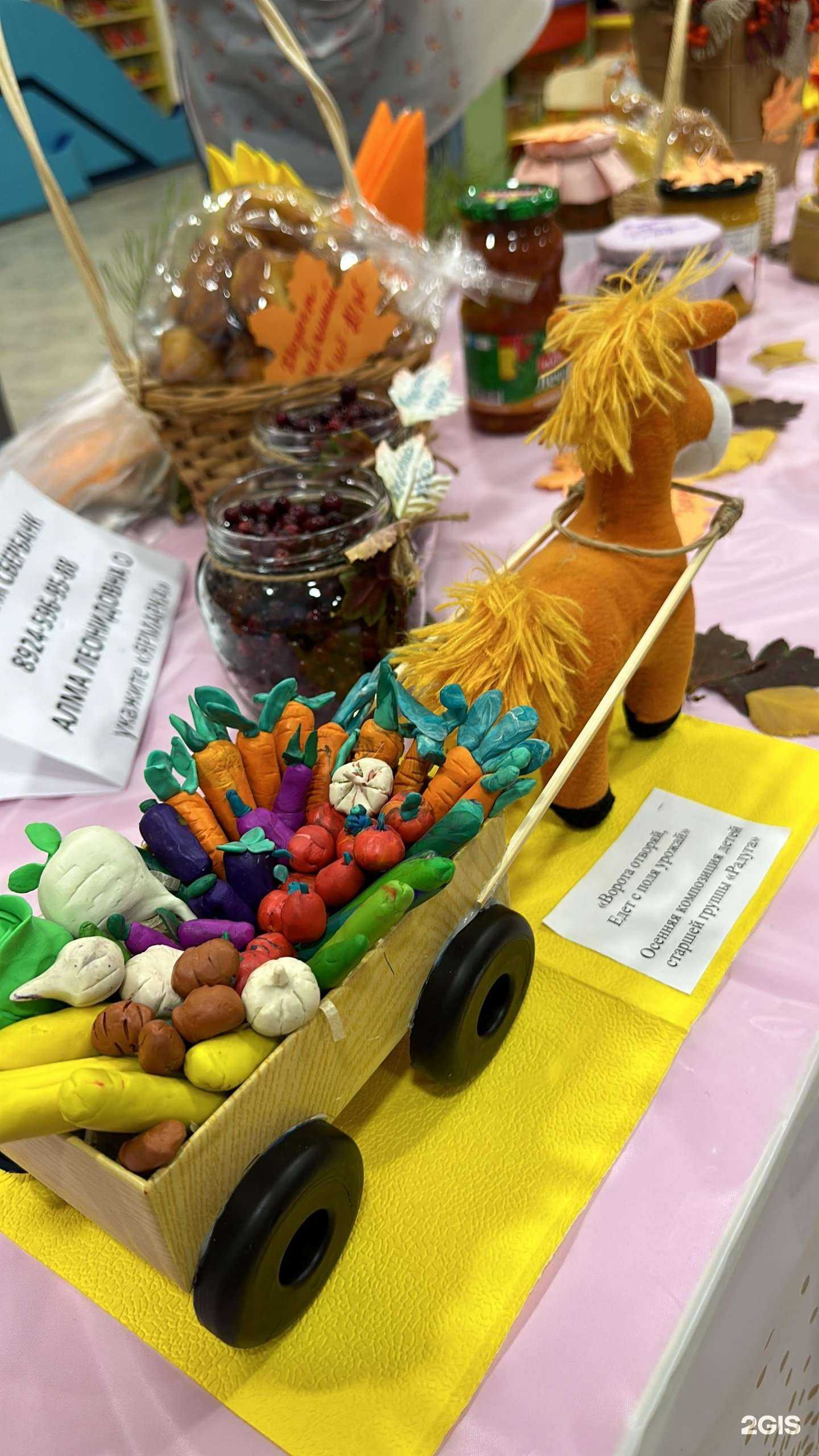 Отзывы на компанию Умный малыш в Якутске c фото