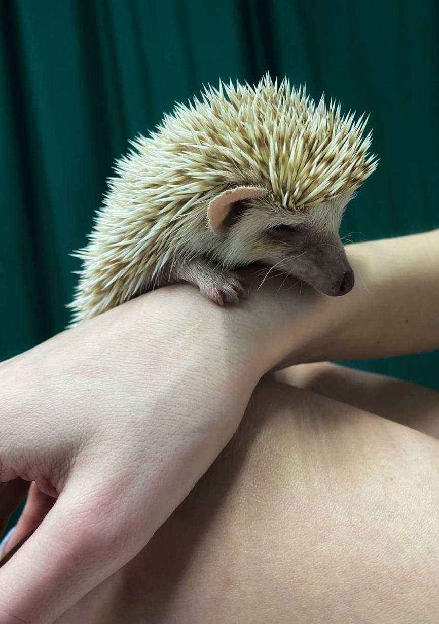 Отзывы на компанию Beauty-Doctor в г. Екатеринбург c фото