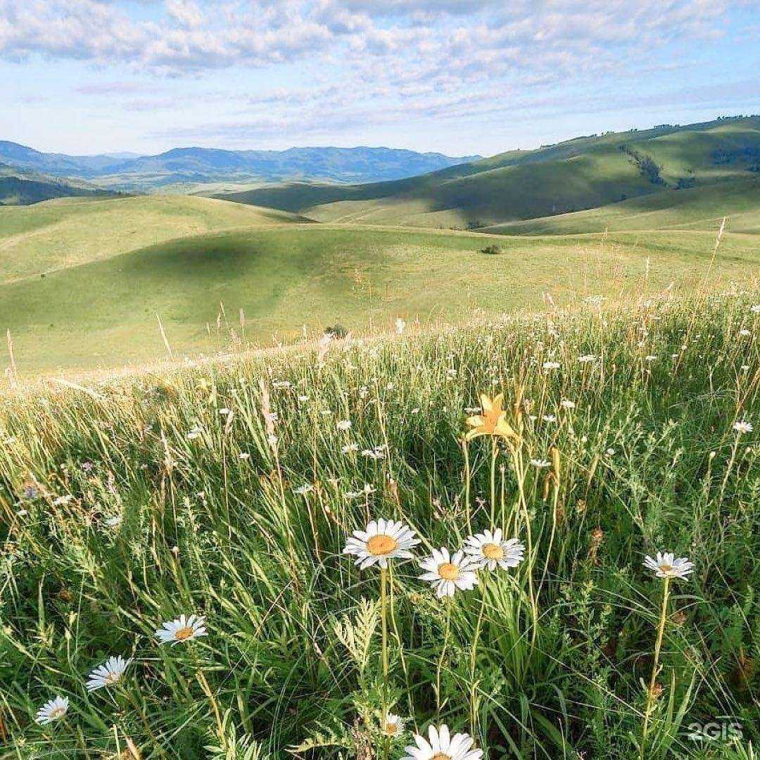 Отзывы на компанию Европорт в Екатеринбурге c фото