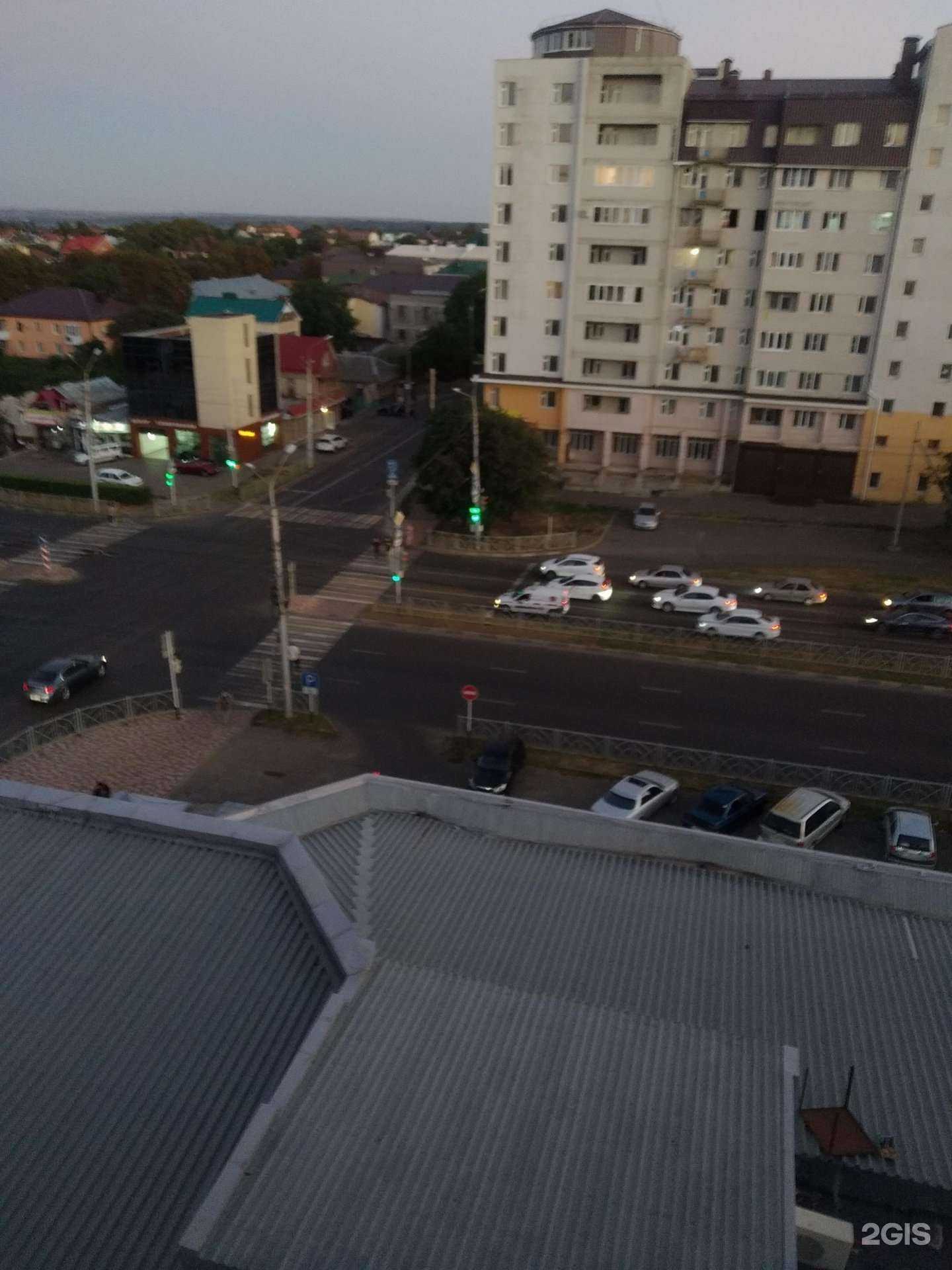 Отзывы на компанию ZooRoom в Ставрополе c фото - фотография 2 из 2