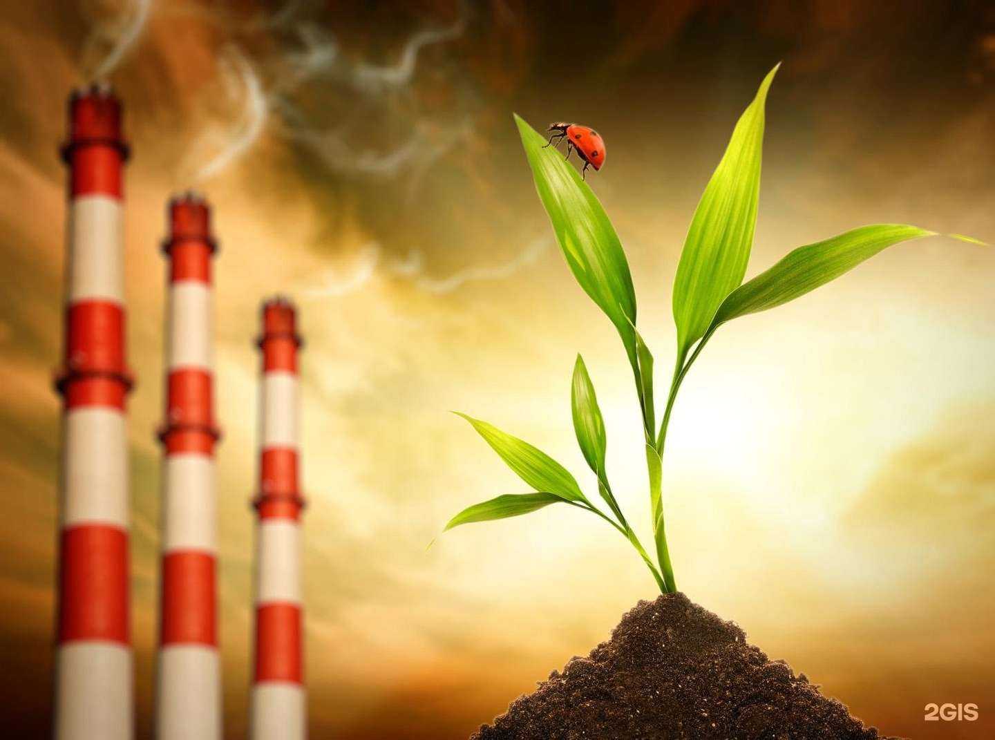 Отзывы на компанию Драйвер бизнеса в г. Хабаровск c фото