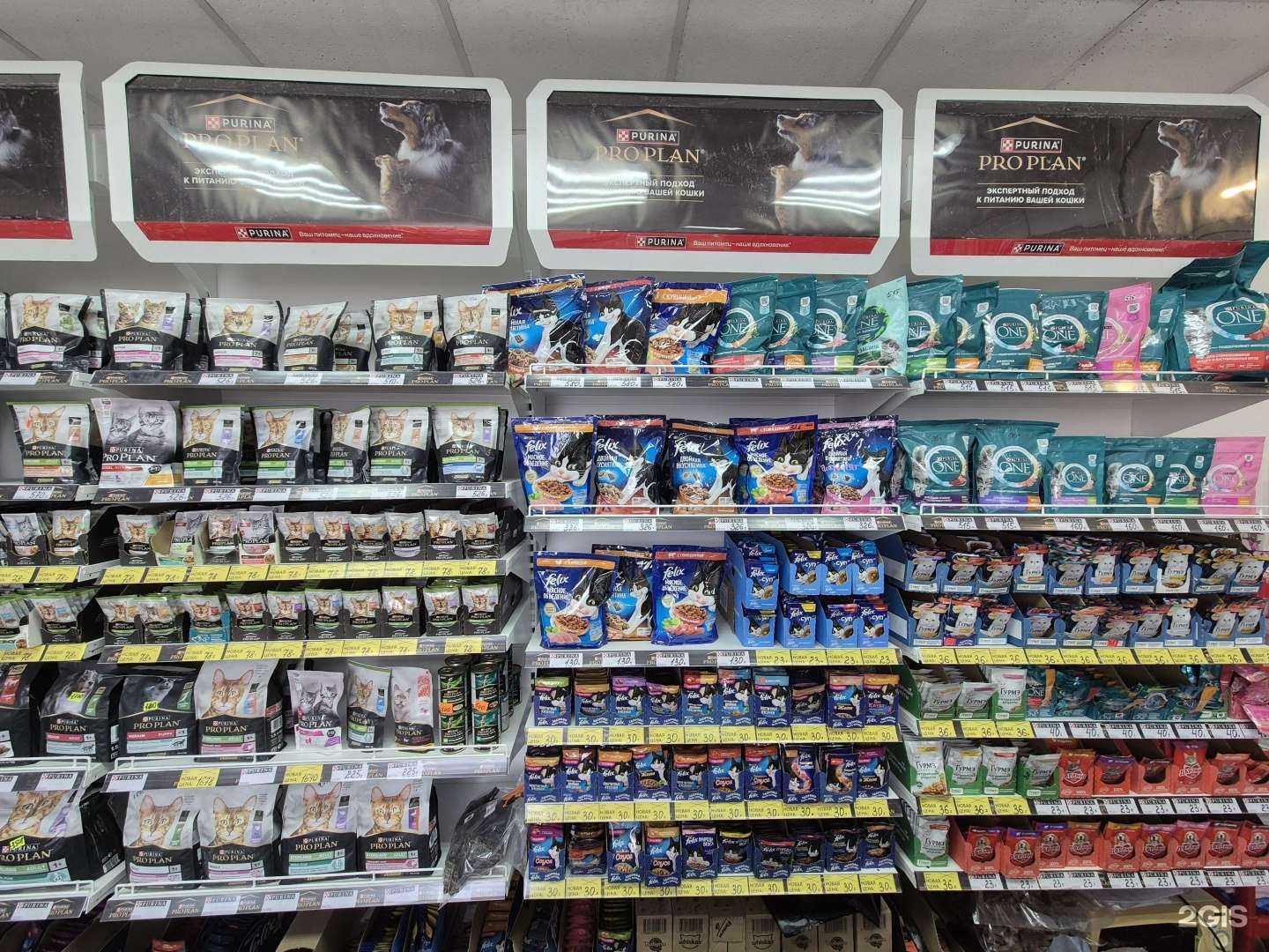 Отзывы на компанию Зоомагазин в г. Владивосток c фото