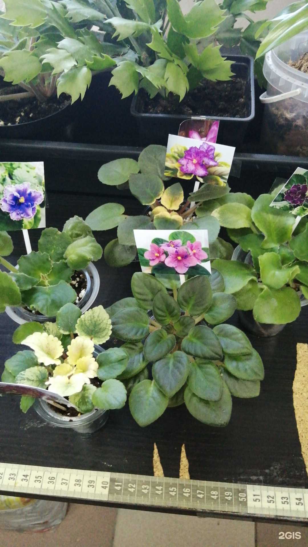 Отзывы на компанию Магазин семян и удобрений в Новосибирске c фото