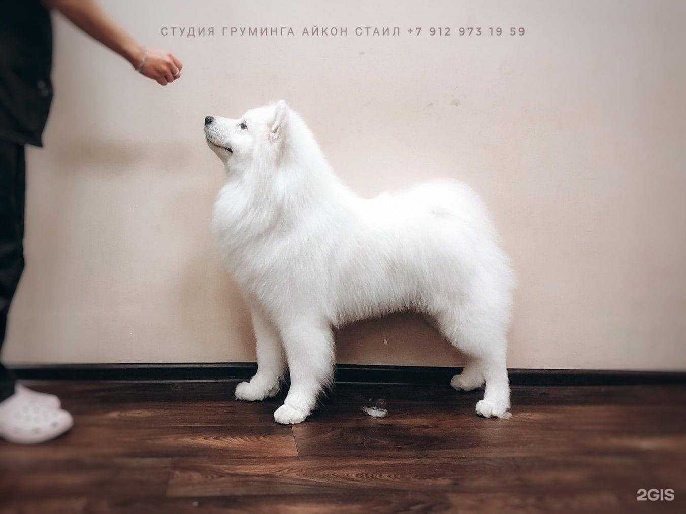 Отзывы на компанию Айкон стаил в Кургане c фото