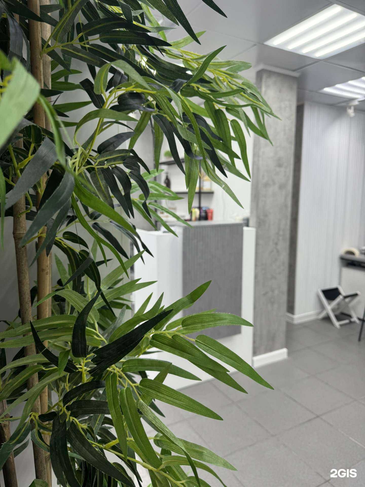 Отзывы на компанию Мокко в Хабаровске c фото