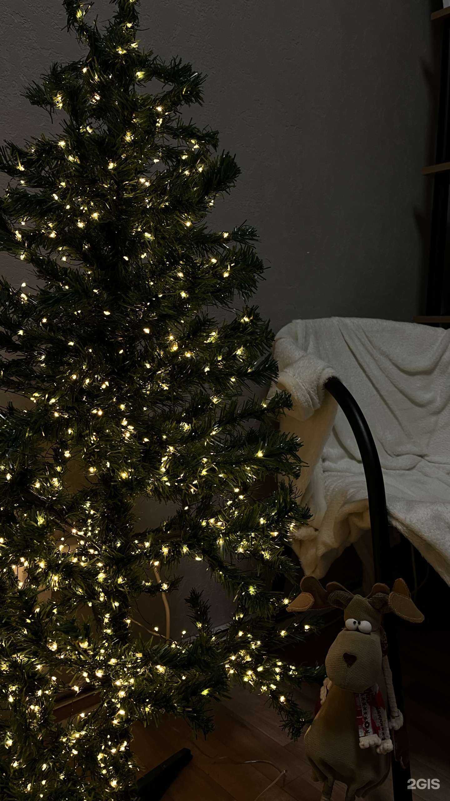 Отзывы на компанию ksushik в г. Новосибирск c фото