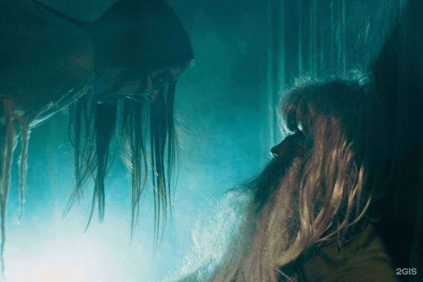 Отзывы на компанию Сахарная Вата  в Челябинске c фото