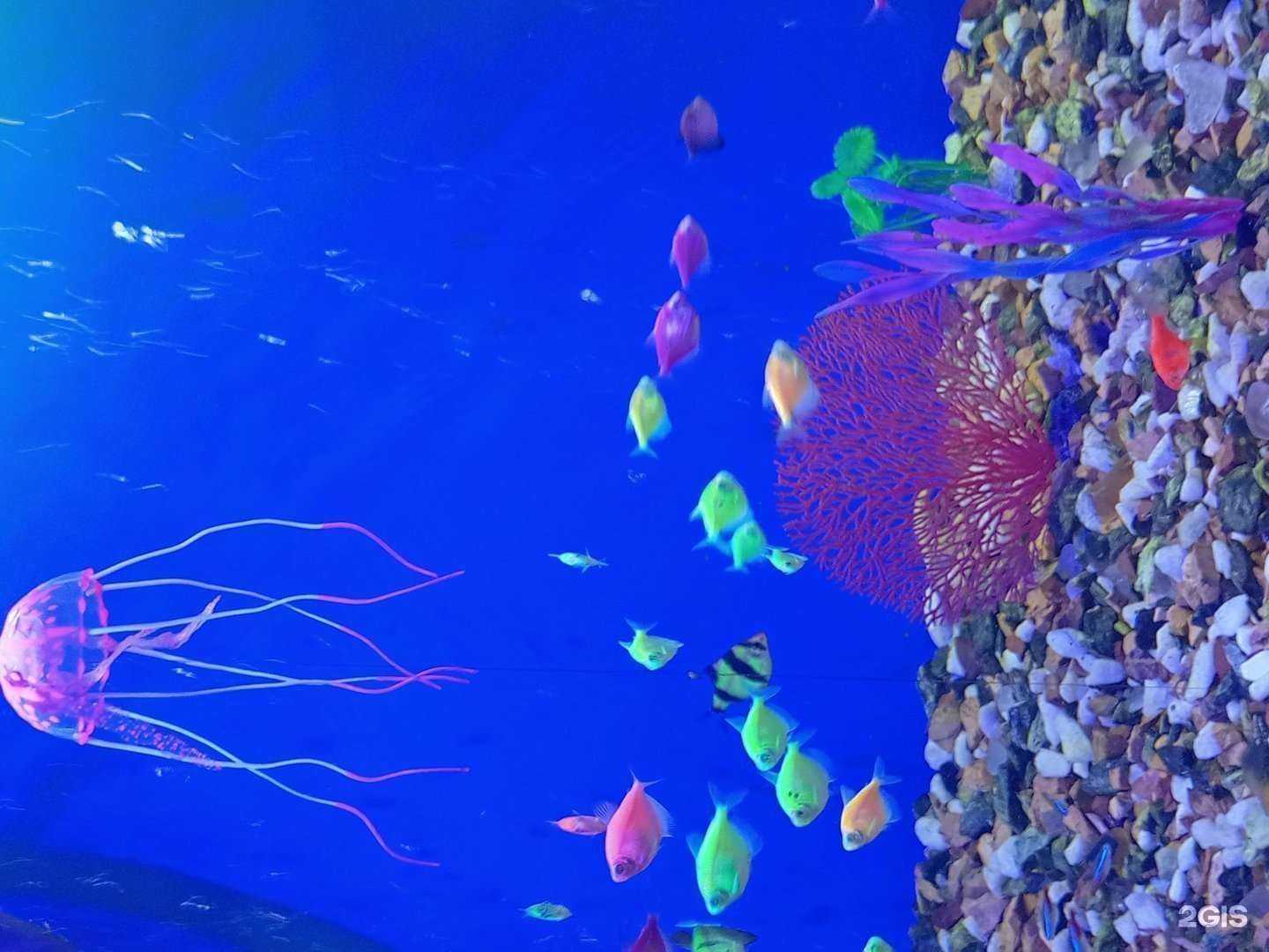 Отзывы на компанию Лицей №100 в Екатеринбурге c фото