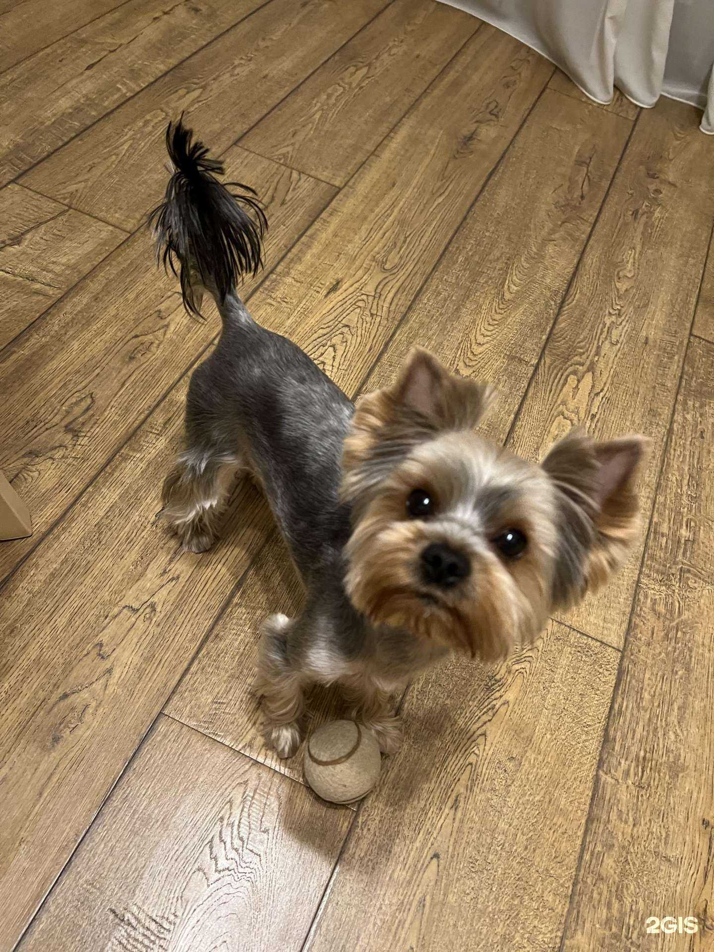 Отзывы на компанию Красный кролик в г. Новосибирск c фото