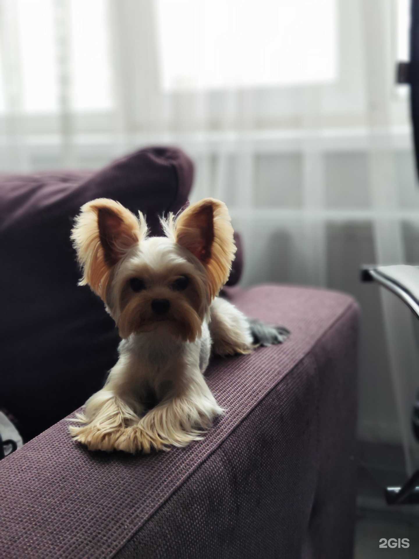 Отзывы на компанию Оберег 54 в Новосибирске c фото