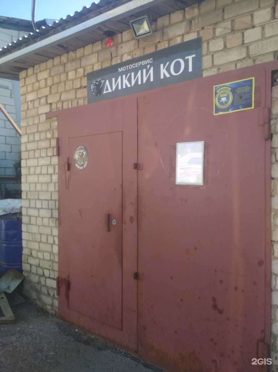 Отзывы на компанию Дикий кот в г. Кострома c фото