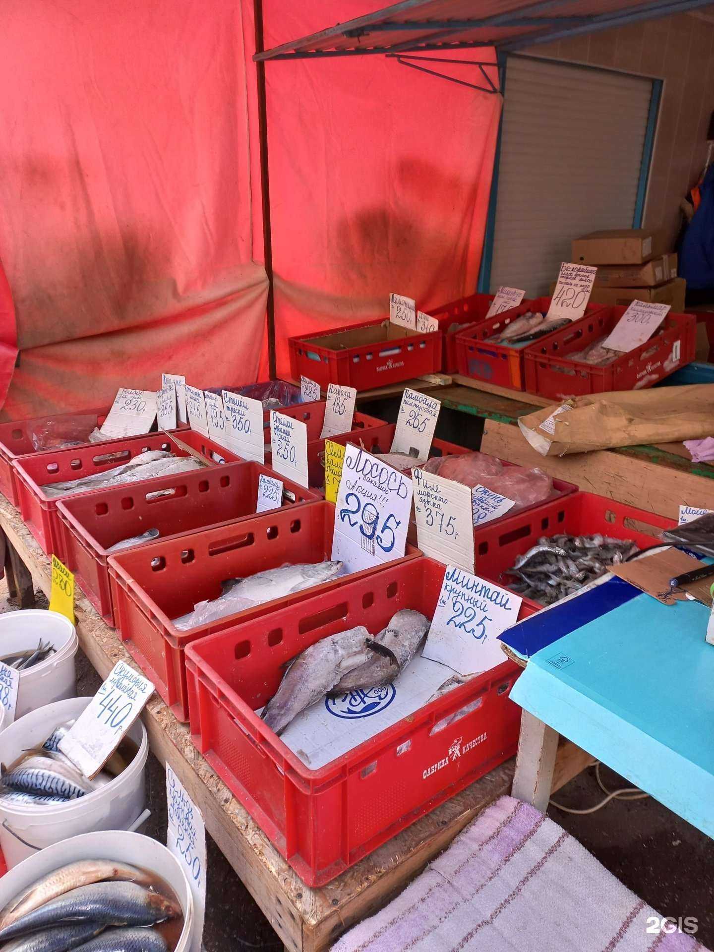 Отзывы на компанию Магазин рыбы в Тольятти c фото