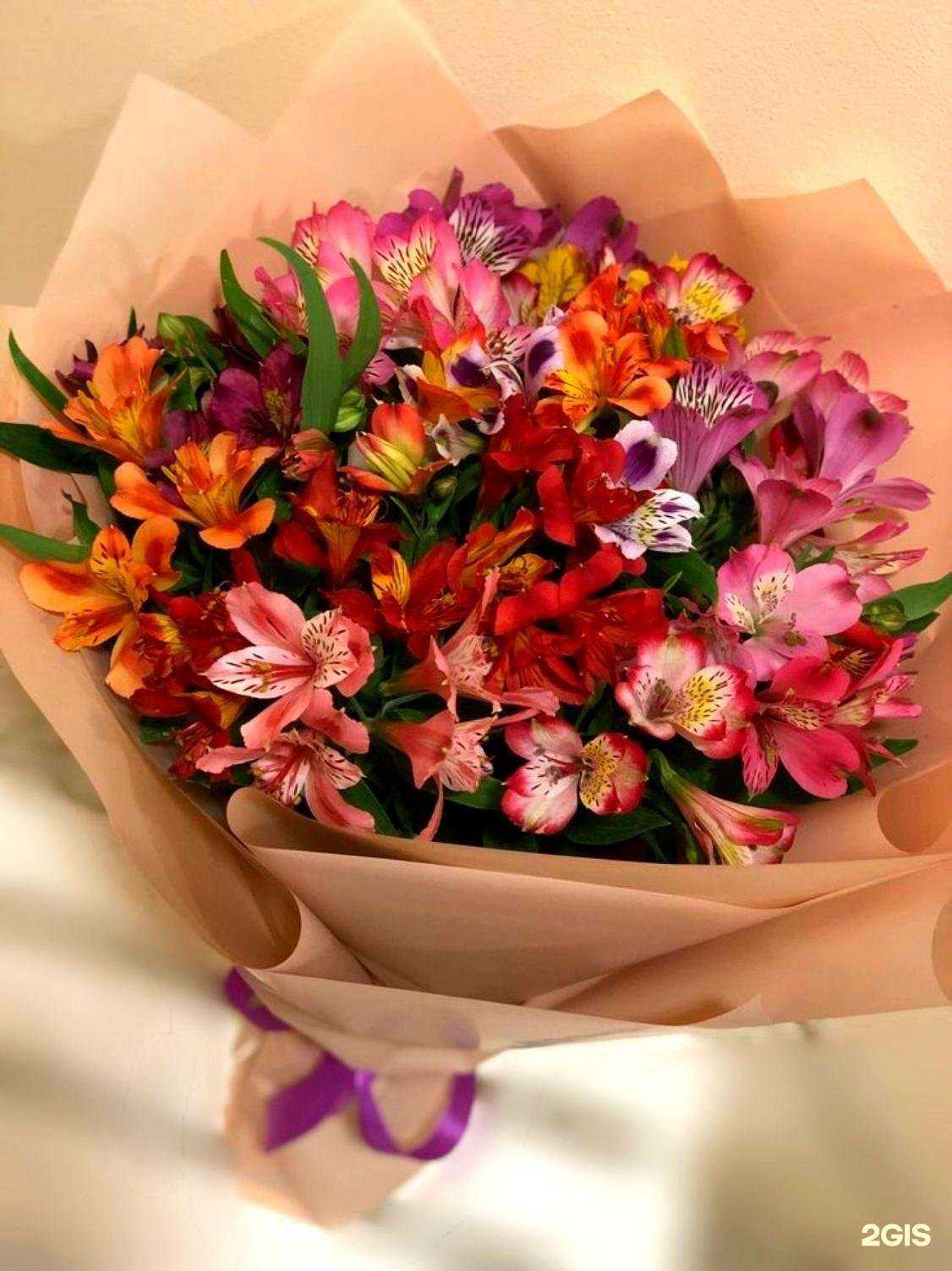 Отзывы на компанию White Rose в Иркутске c фото