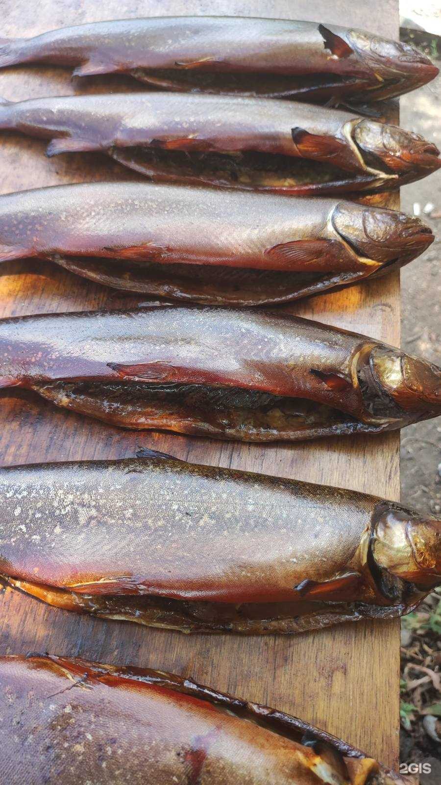 Отзывы на компанию Море рыбы в г. Саратов c фото