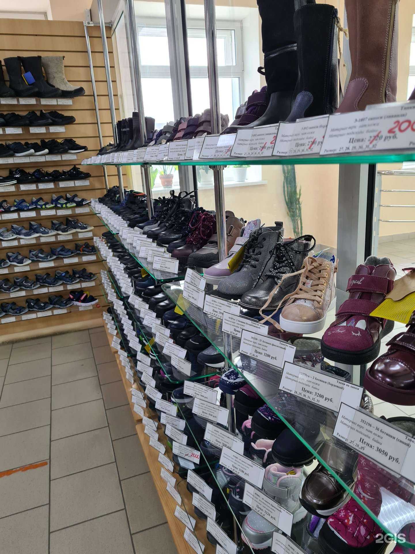 Отзывы на компанию Тапки на лапки в Омске c фото