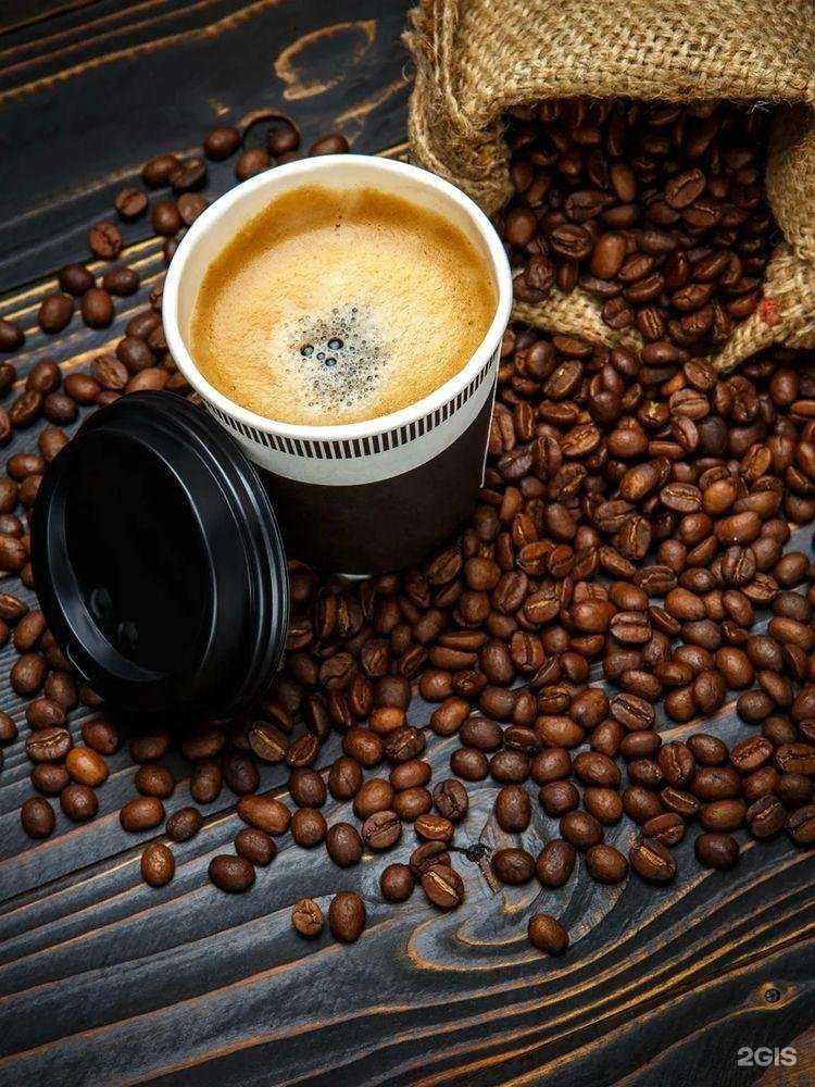 Отзывы на компанию Калипсо в Махачкале c фото