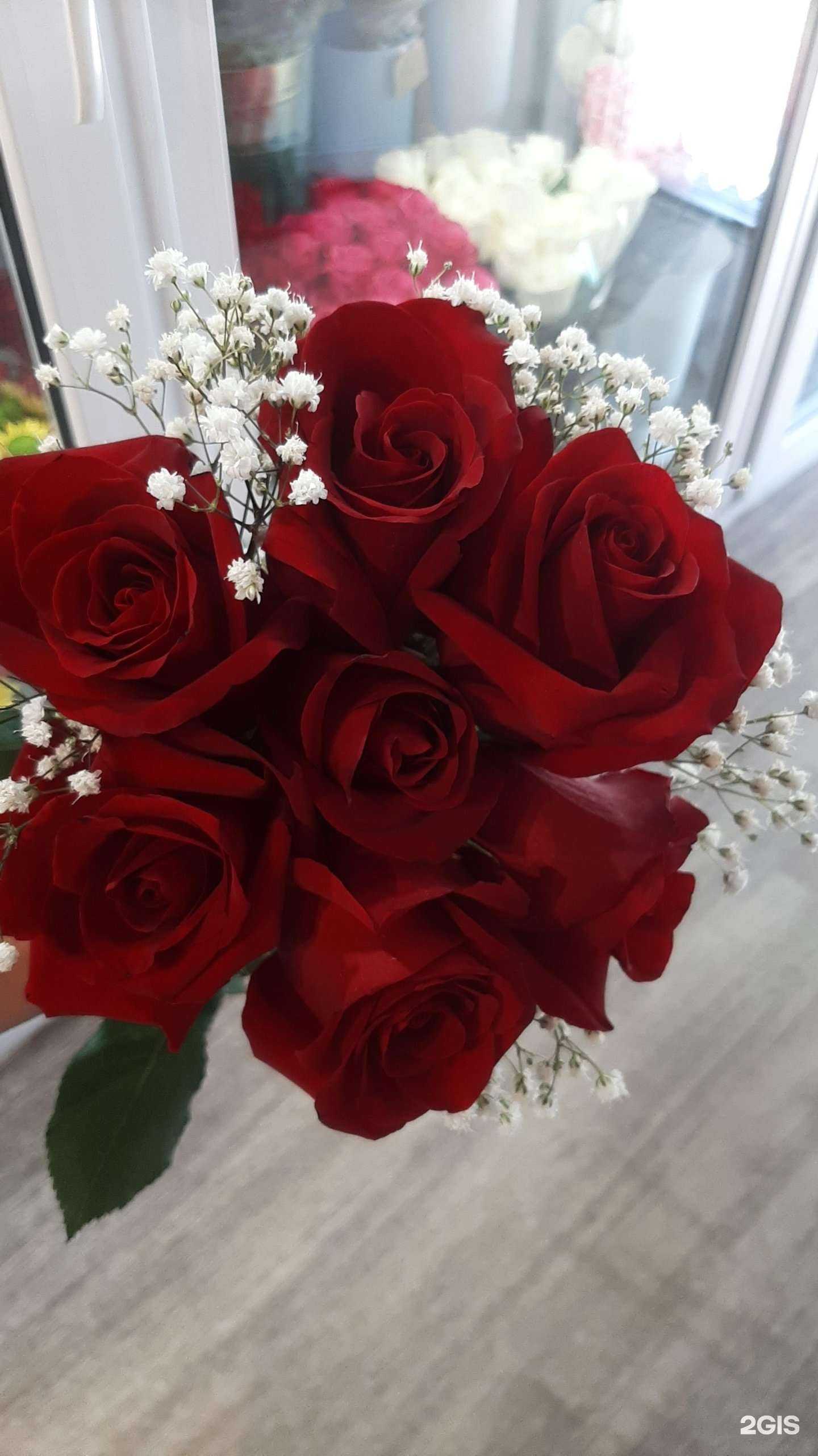 Отзывы на компанию Флора фей в г. Омск c фото