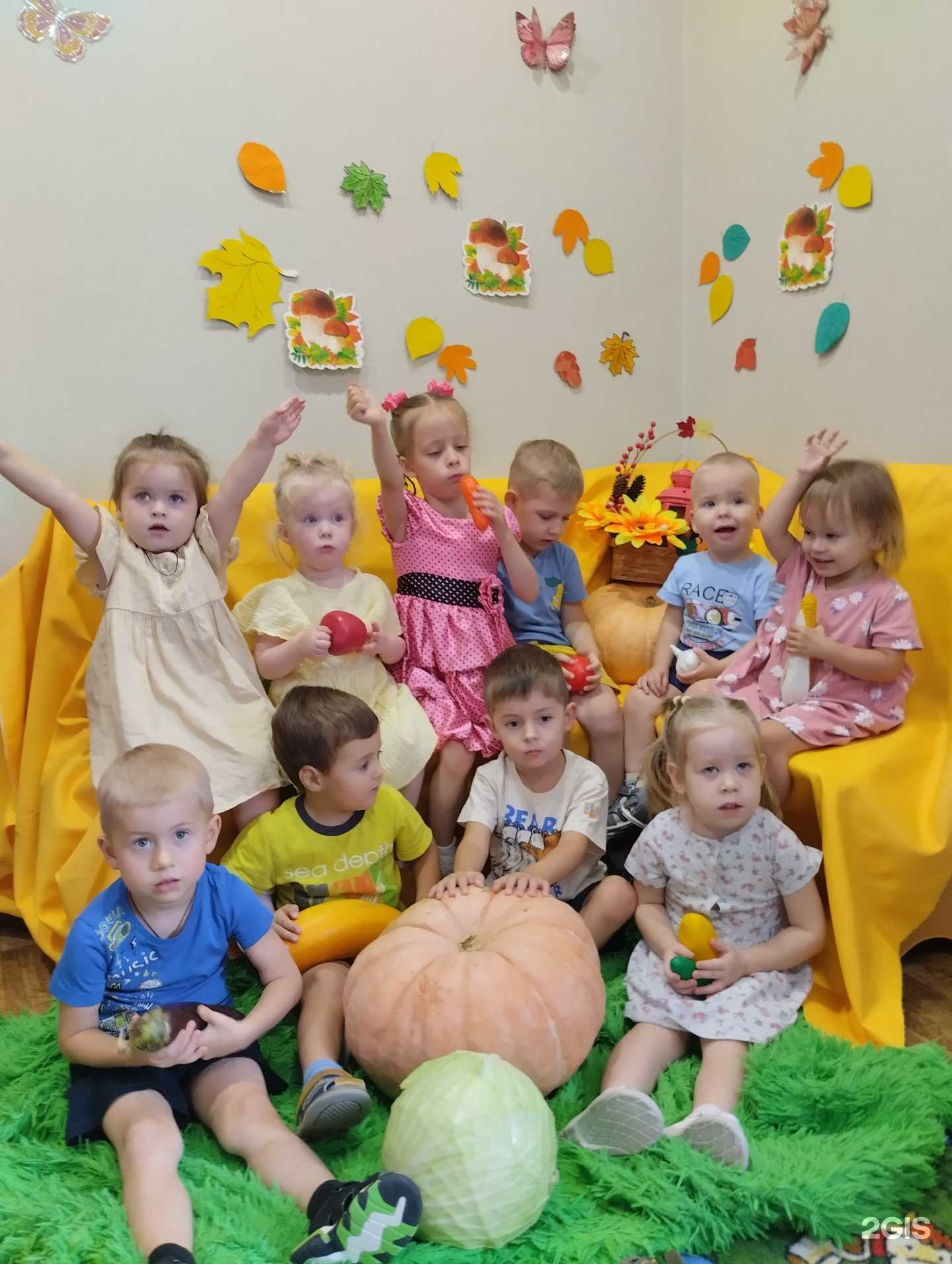 Отзывы на компанию Крошка енот в г. Иркутск c фото