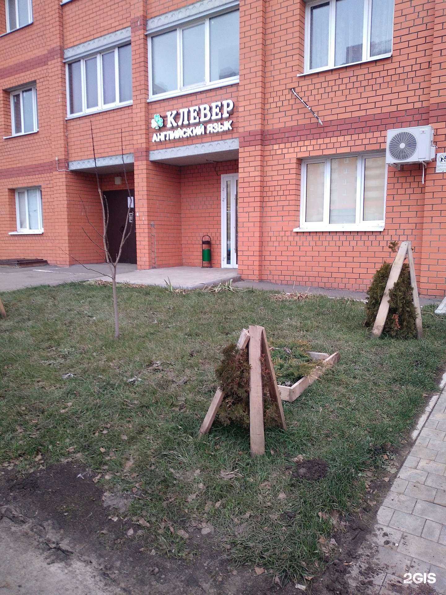 Отзывы на компанию Клевер в Саратове c фото