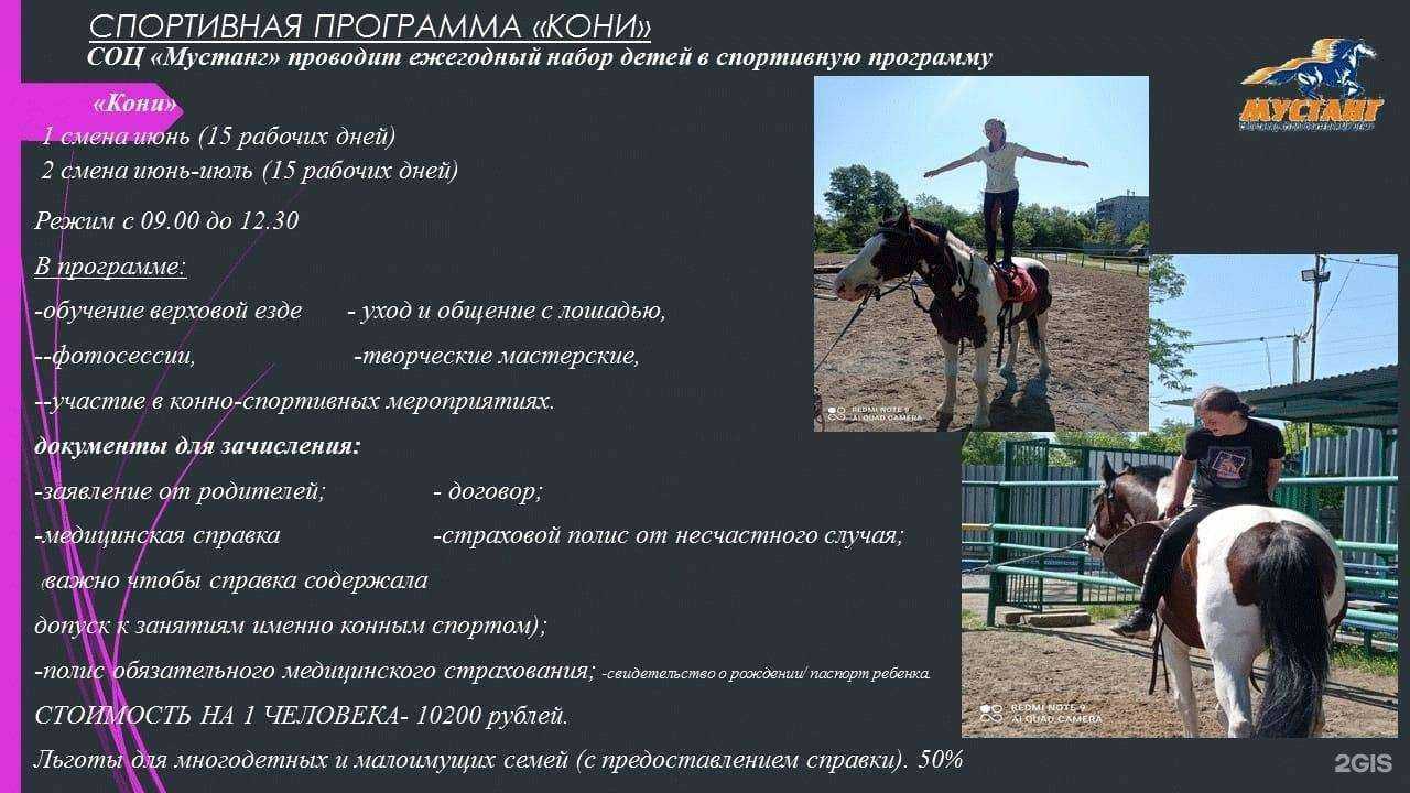 Отзывы на компанию Мустанг в г. Хабаровск c фото