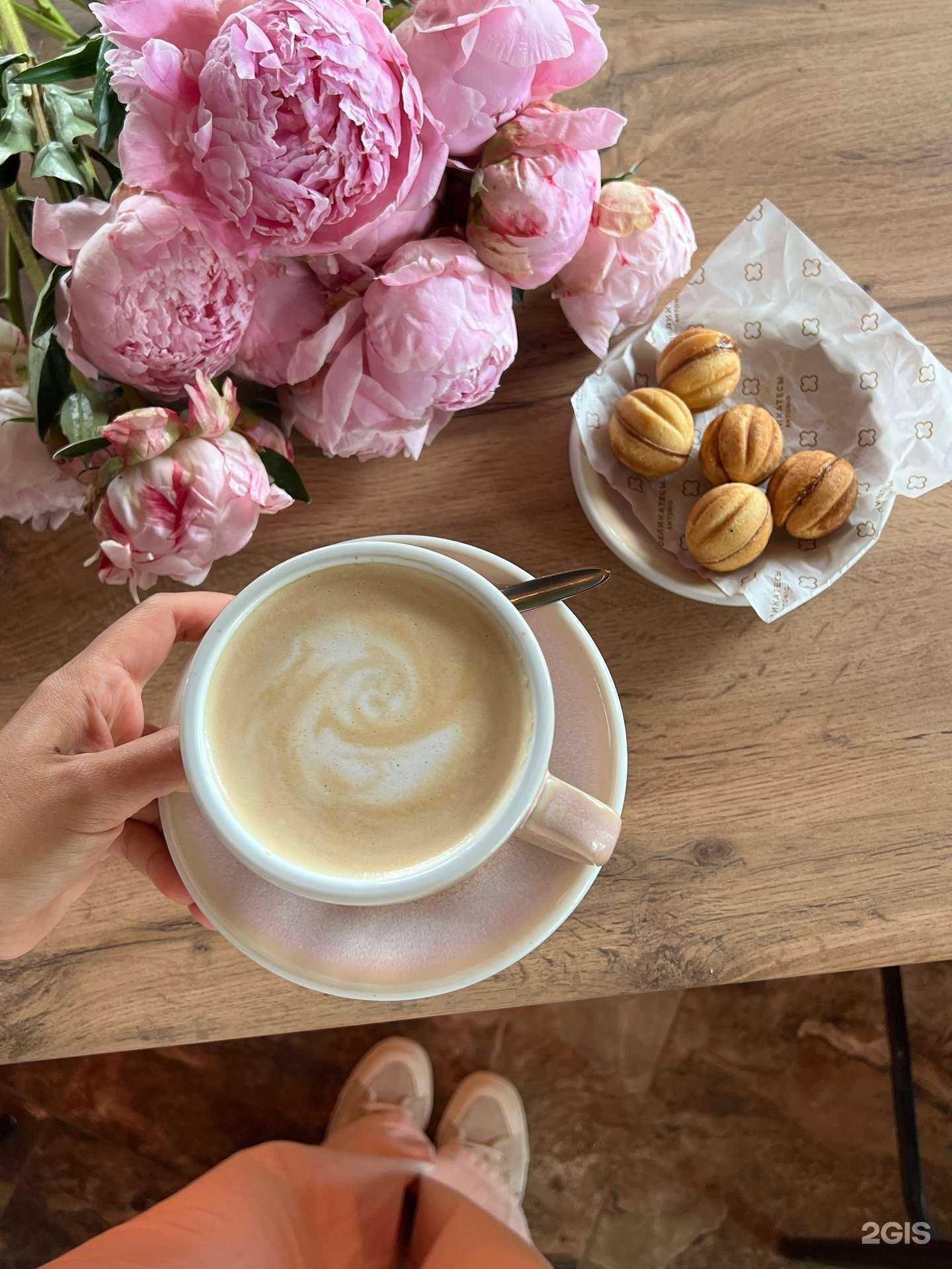 Отзывы на компанию Casa Verde в Великом Новгороде c фото