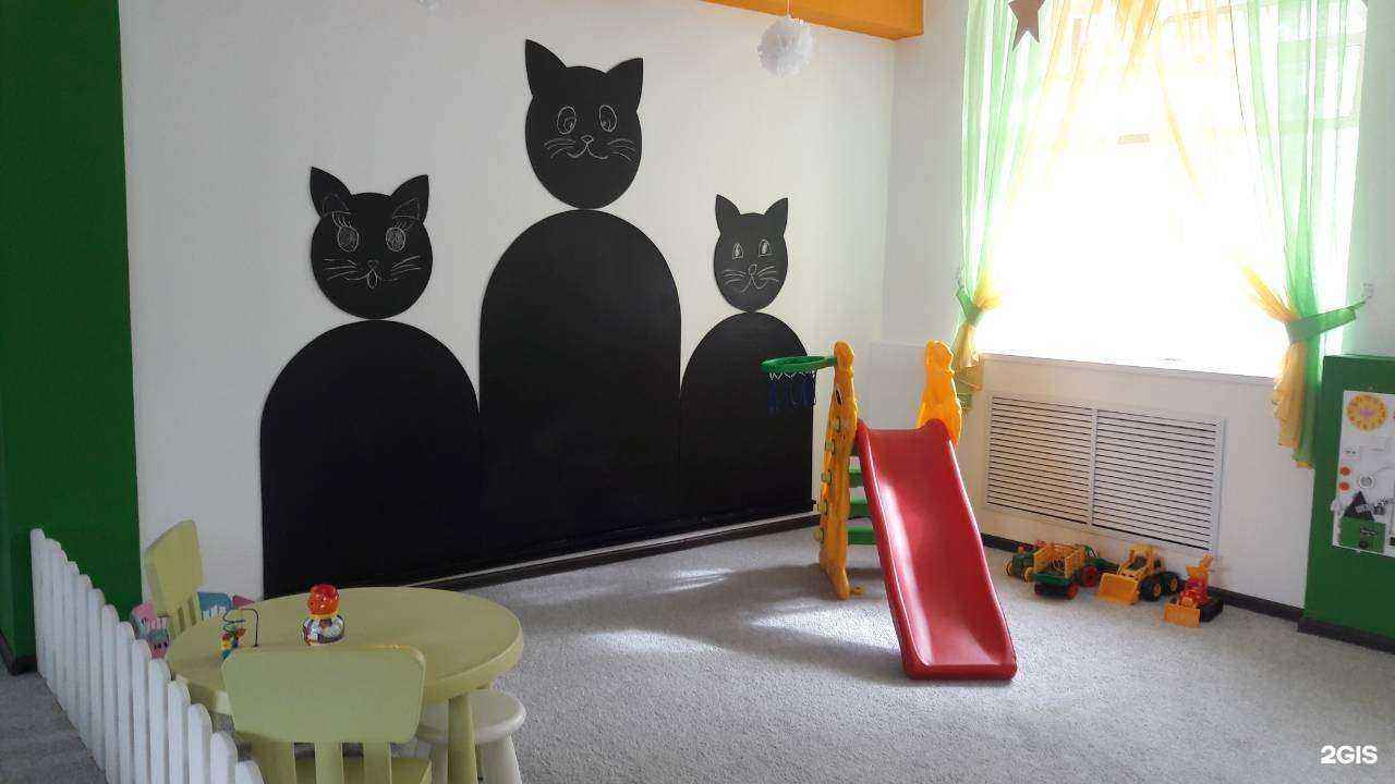 Отзывы на компанию Три кота в Железногорске c фото