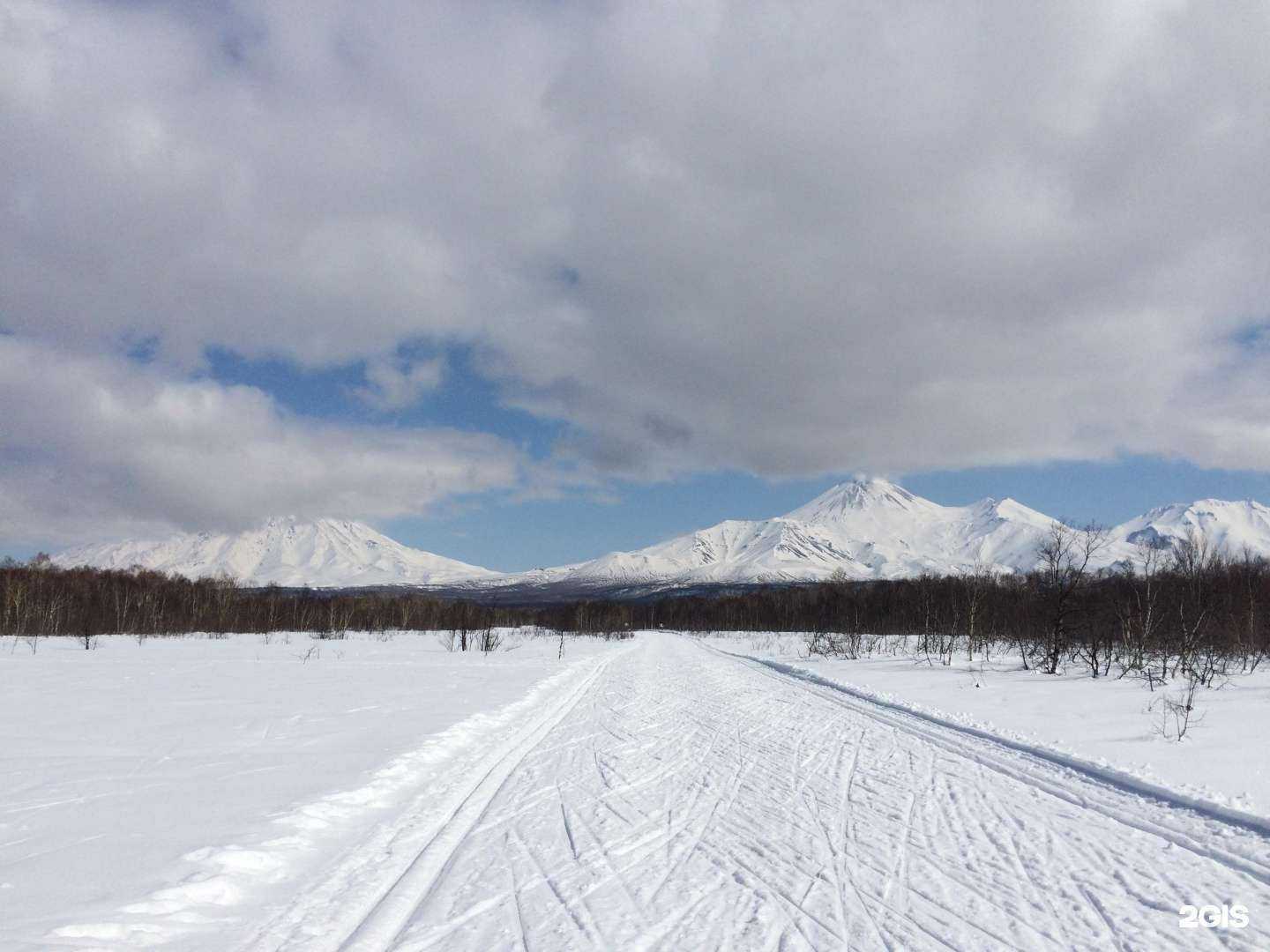 Отзывы на компанию Лесная в Петропавловске-Камчатском c фото