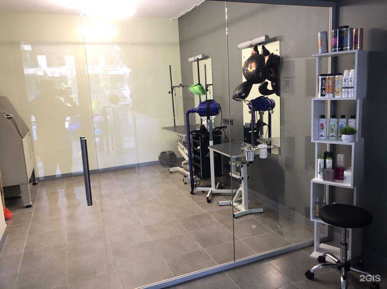 Отзывы на компанию ЗооДент&Груминг в г. Новороссийск c фото