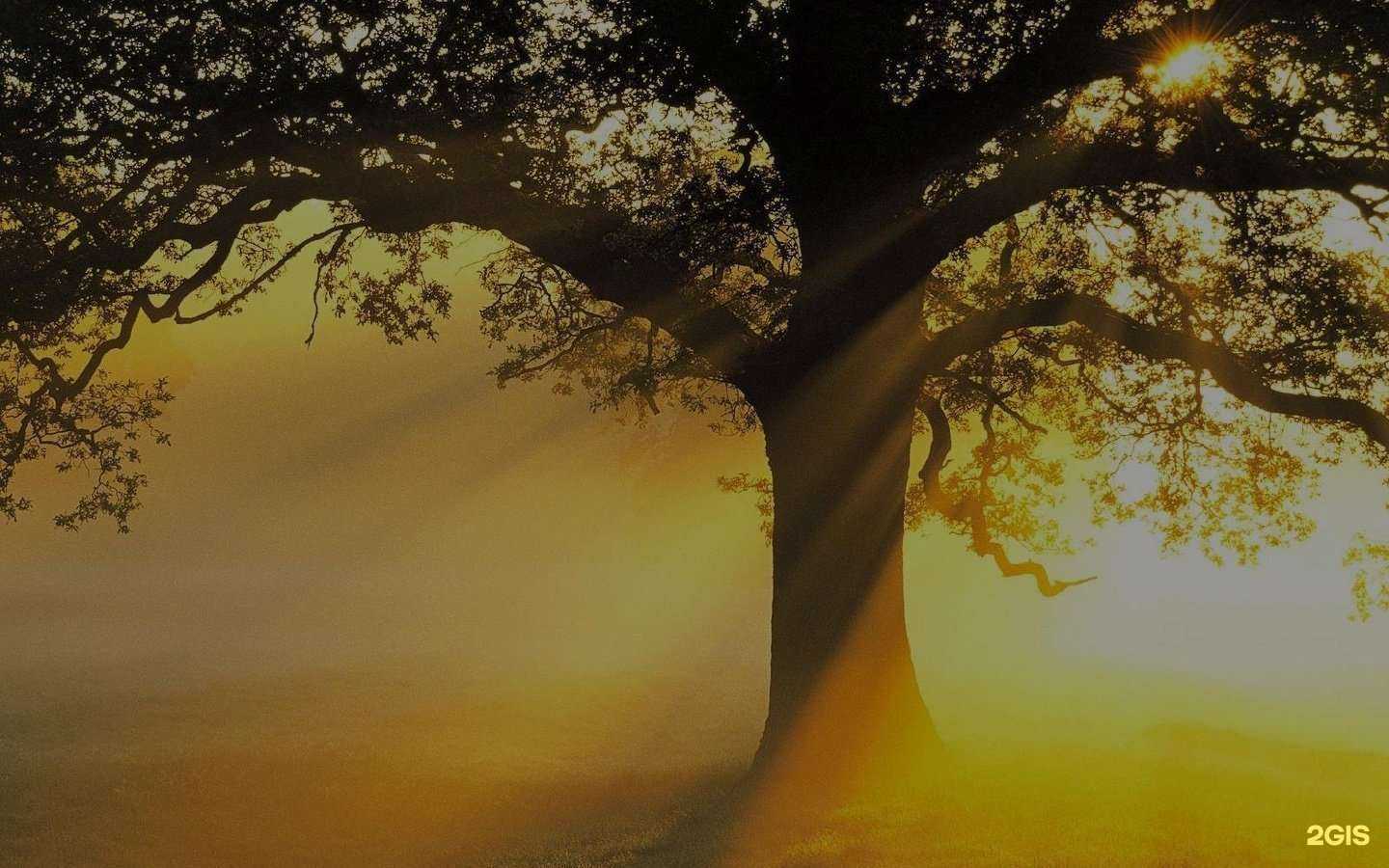 Отзывы на компанию Мир детей и взрослых в Липецке c фото