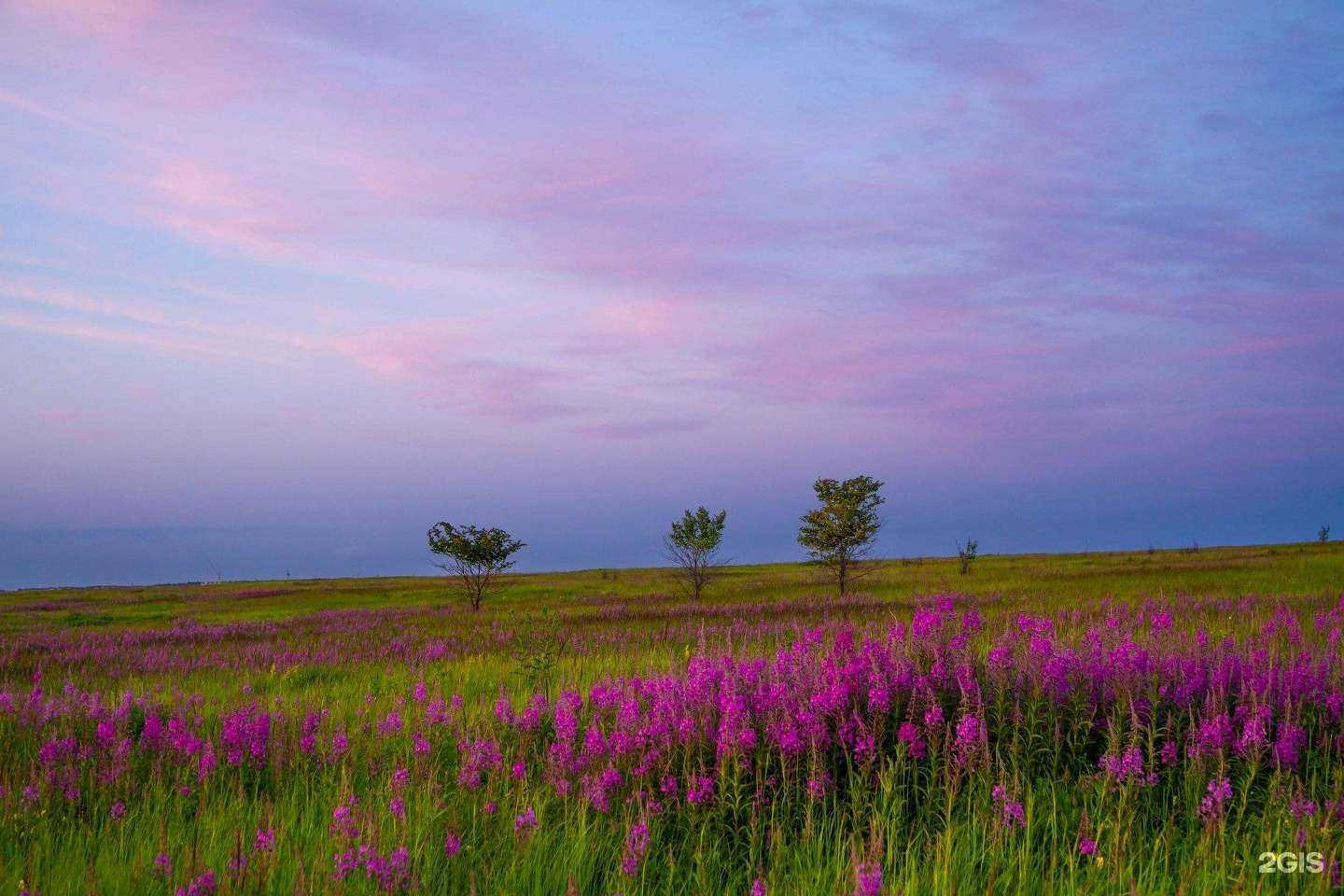 Отзывы на компанию Массаж у Елены в Пензе c фото