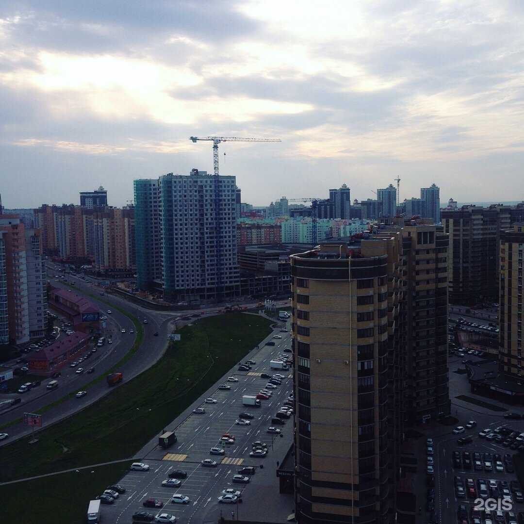 Отзывы на компанию Аutodoc.ru в Воронеже c фото - фотография 2 из 2