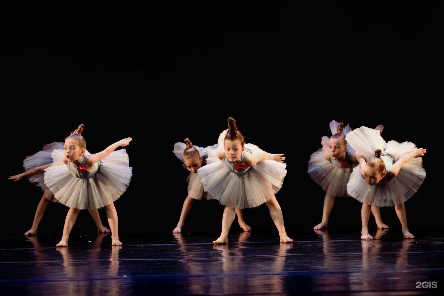 Отзывы на компанию Сильфида в Выборге c фото