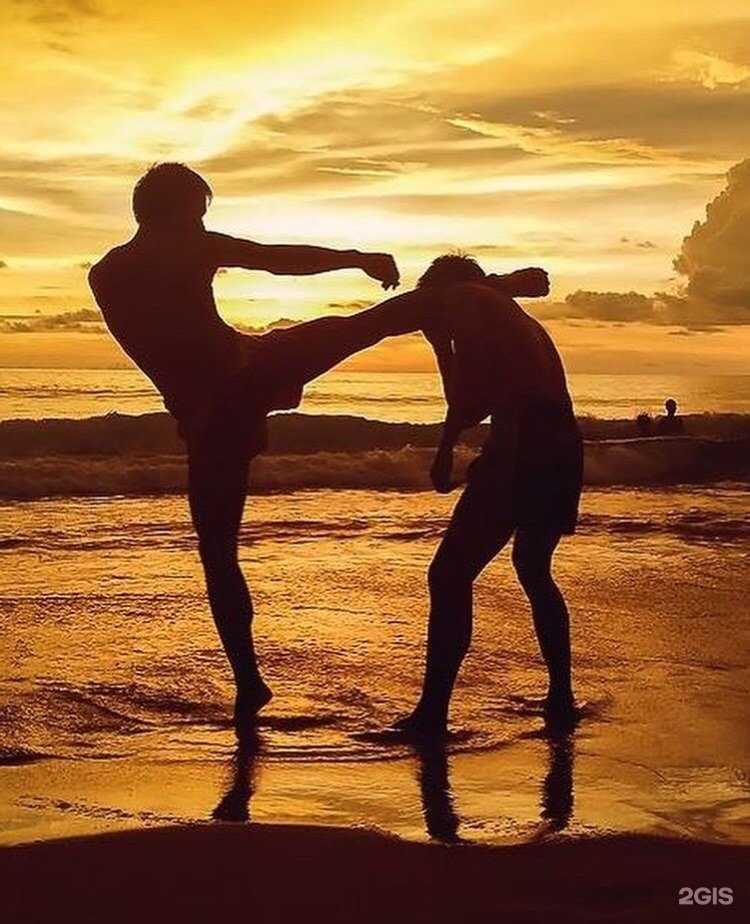 Отзывы на компанию Короли в Ростове-на-Дону c фото