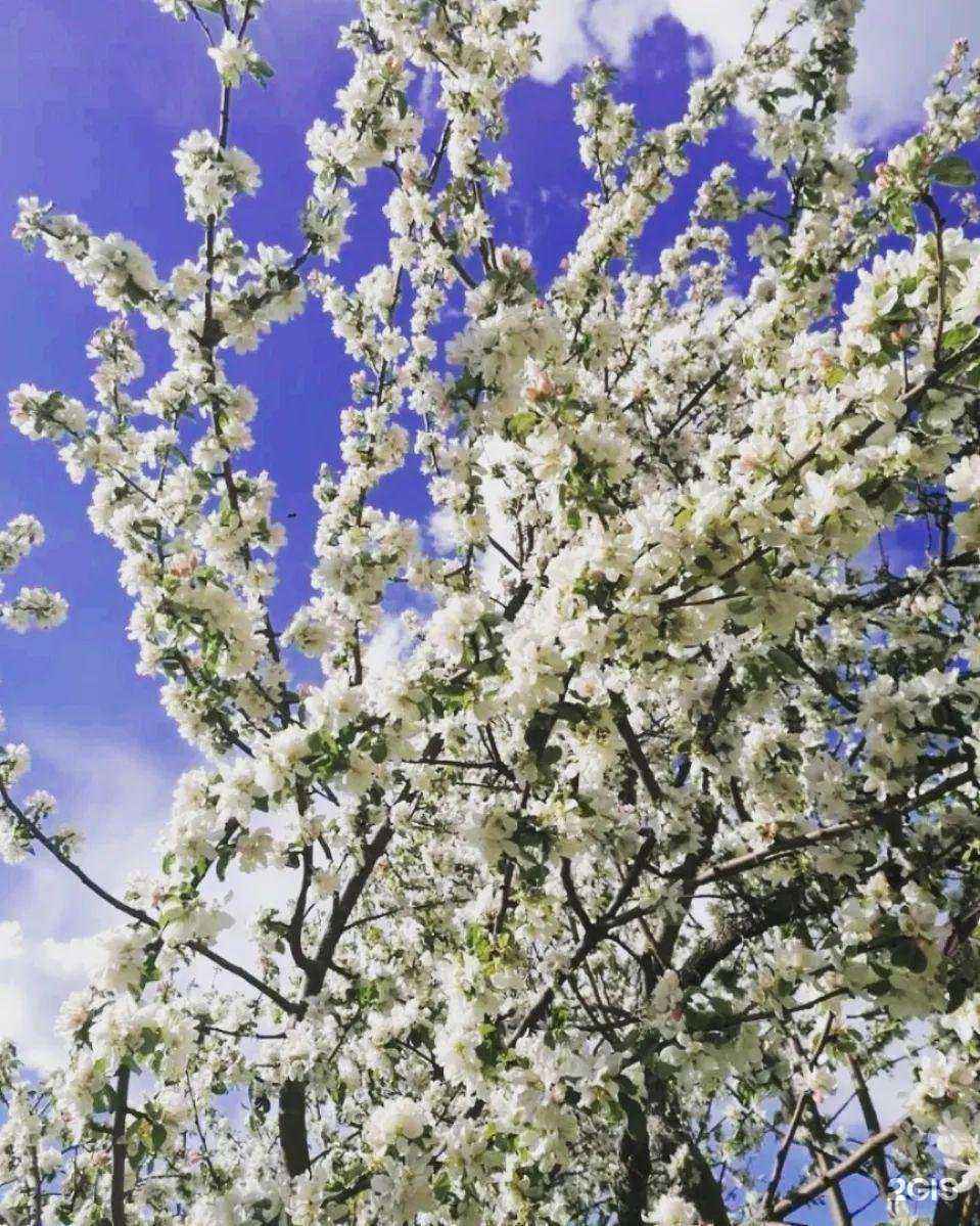 Отзывы на компанию Шейпинг-клуб в г. Саранск c фото