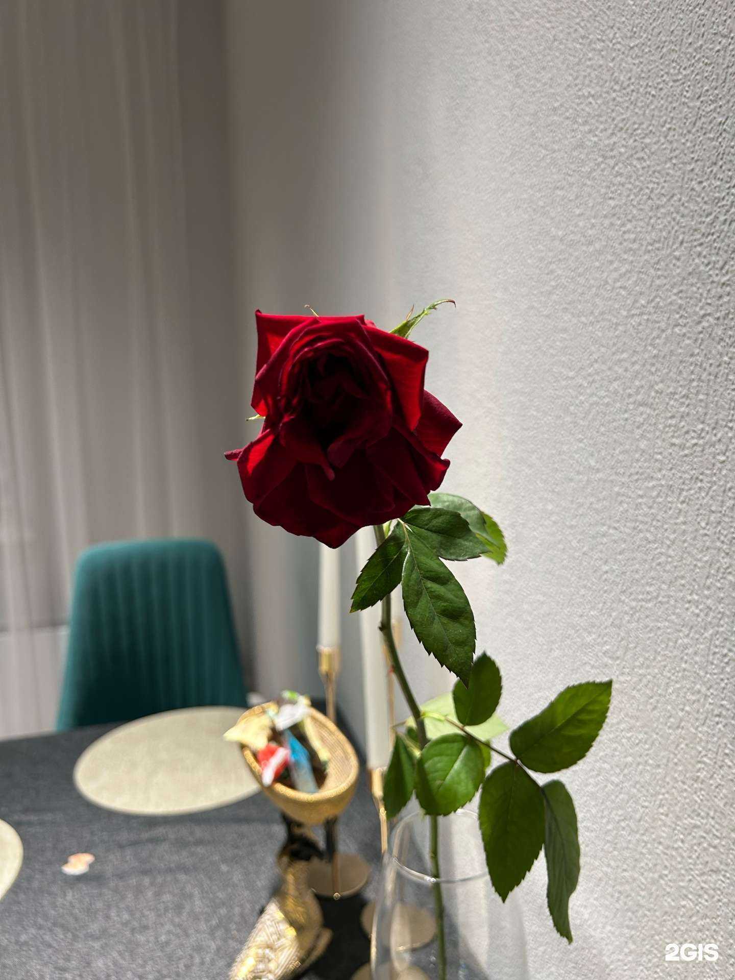 Отзывы на компанию Роса и Роза в г. Екатеринбург c фото