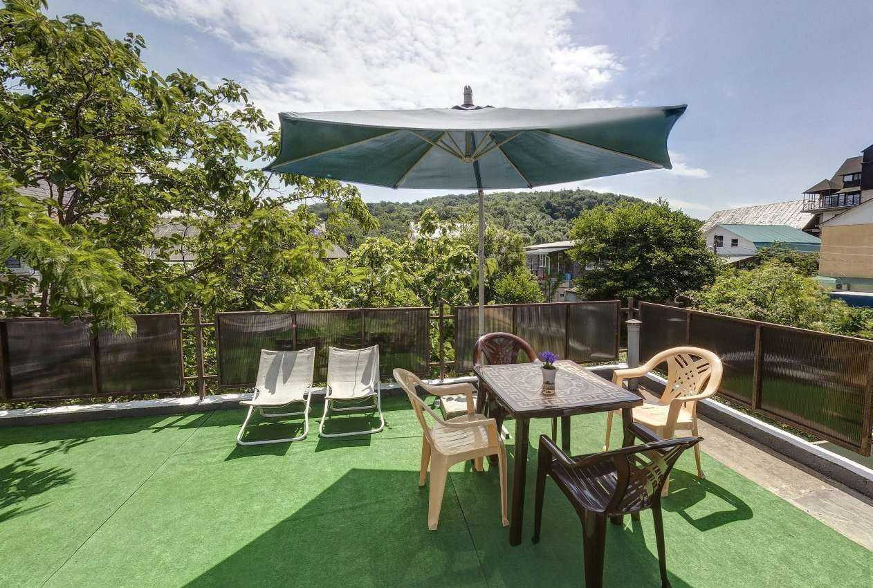 Отзывы на компанию Самшит в Сочи c фото