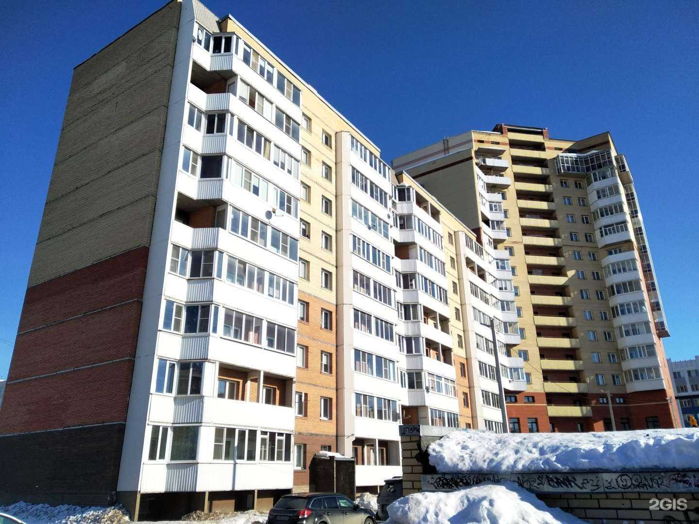 Отзывы на компанию Petshop.ru в Архангельске c фото - фотография 2 из 2