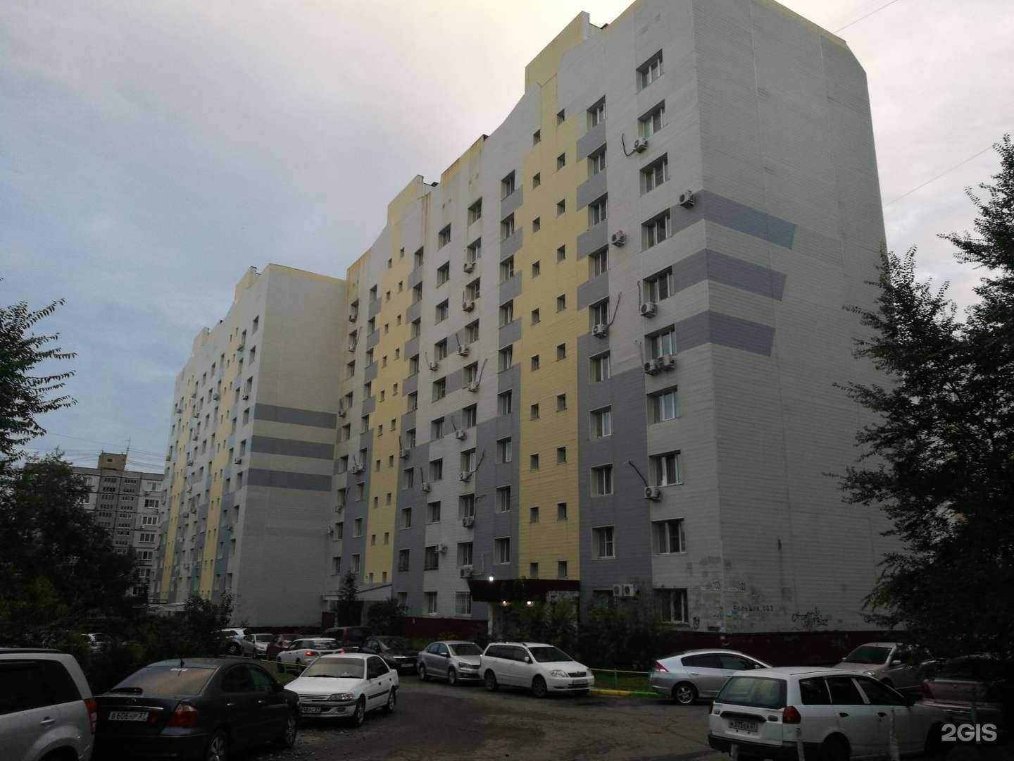 Отзывы на компанию Мистер пёс в Хабаровске c фото - фотография 2 из 2