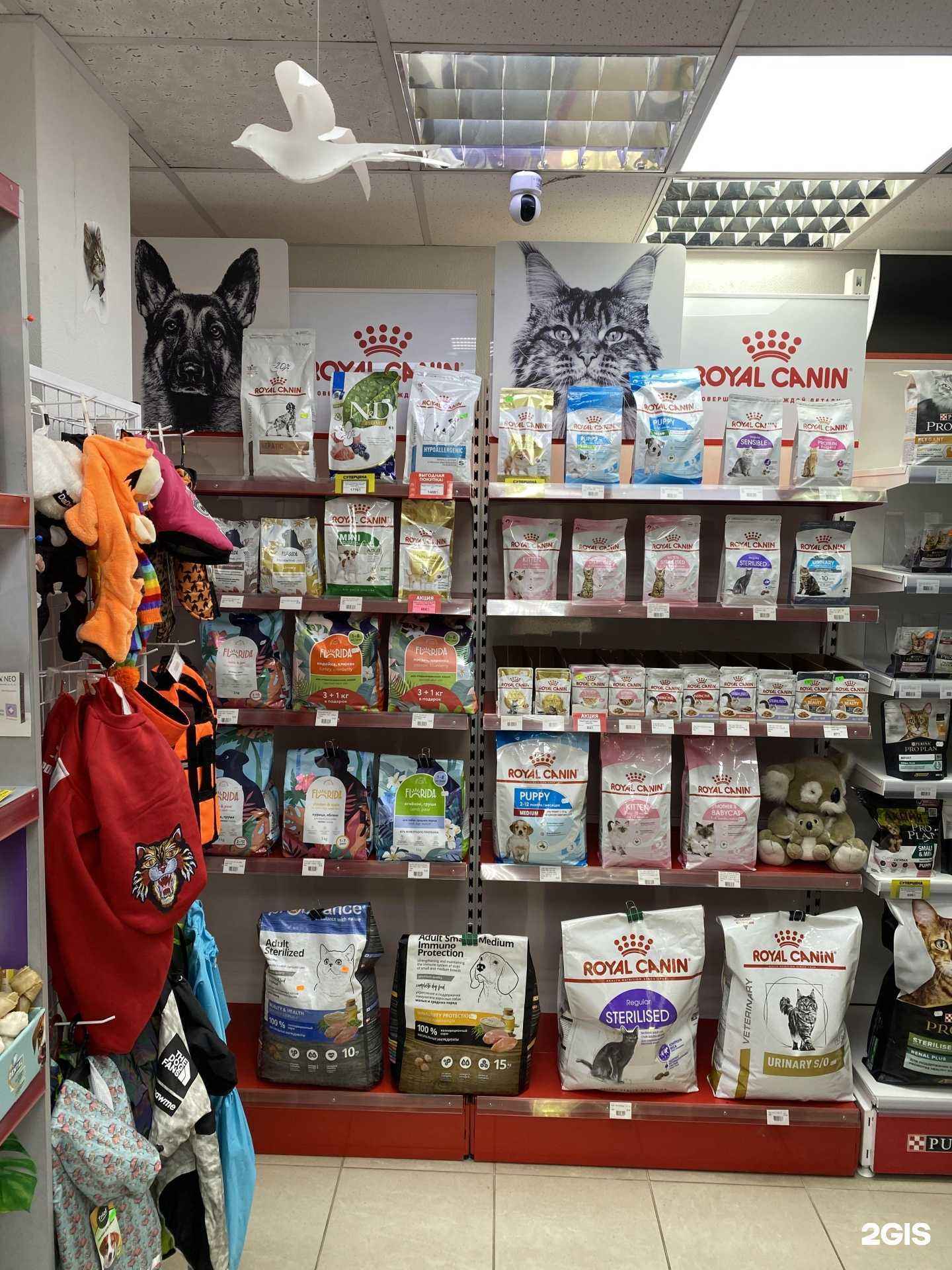 Отзывы на компанию Город здоровых животных в Воронеже c фото